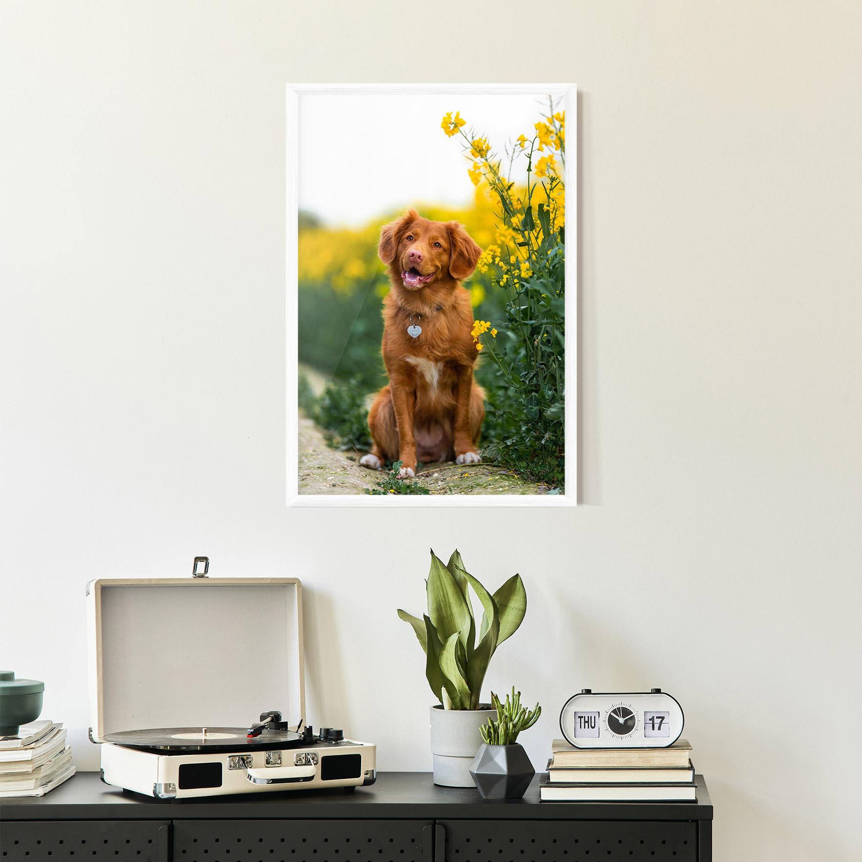 Gerahmte Poster Dog Yellow Flowers mockup 2
