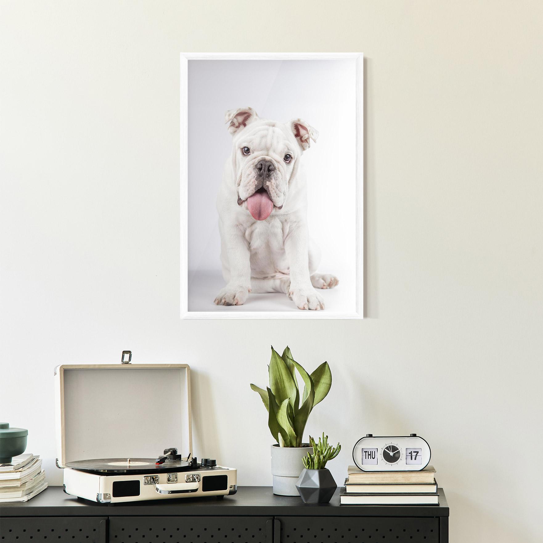 Gerahmte Poster English Bulldog mockup 2