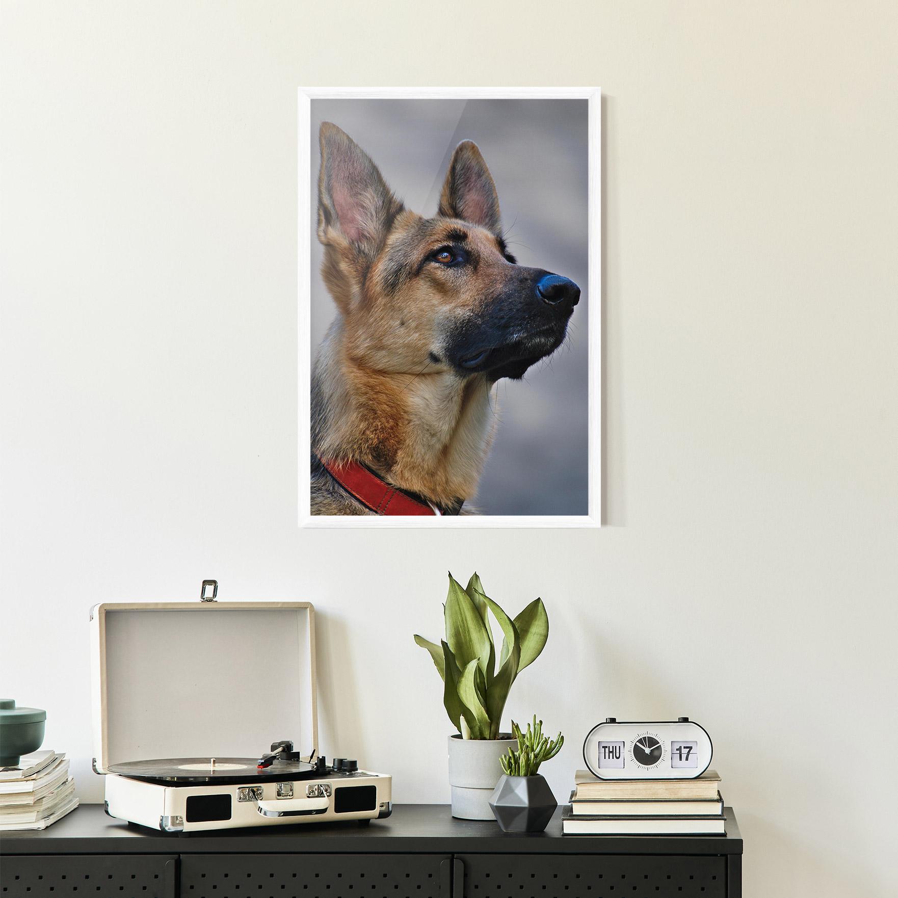 Gerahmte Poster German Shepherd mockup 2