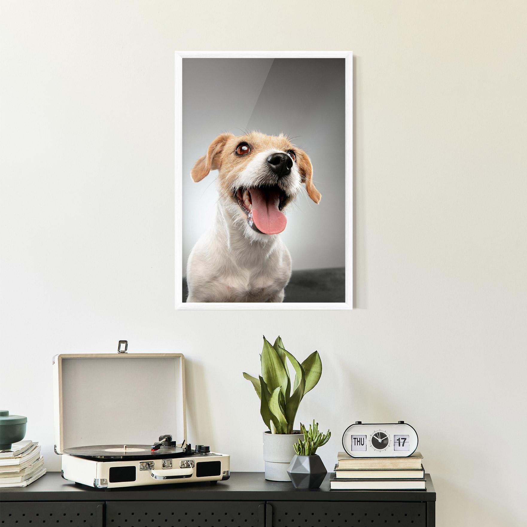 Gerahmte Poster Jack Russell Terrier mockup 2