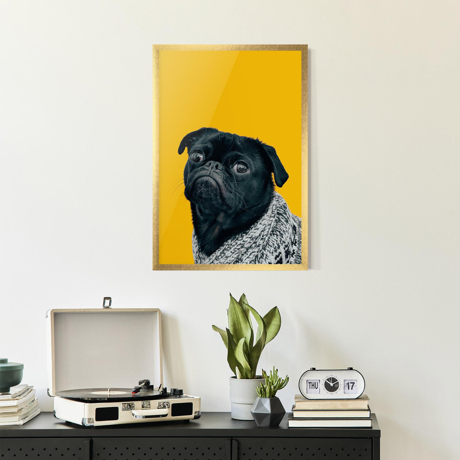 Gerahmte Poster Black Pug mockup 2