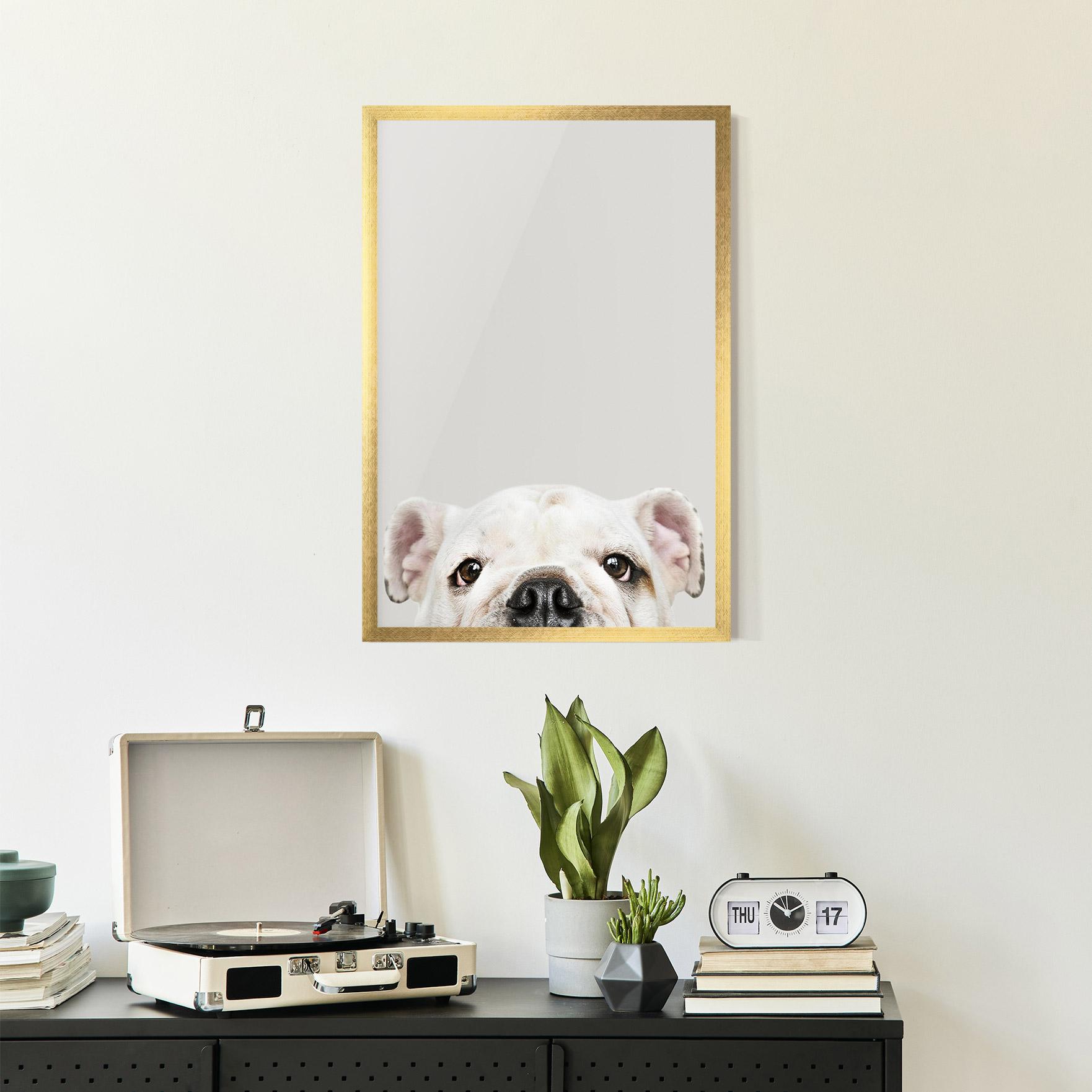 Gerahmte Poster Bulldog Eyes mockup 2