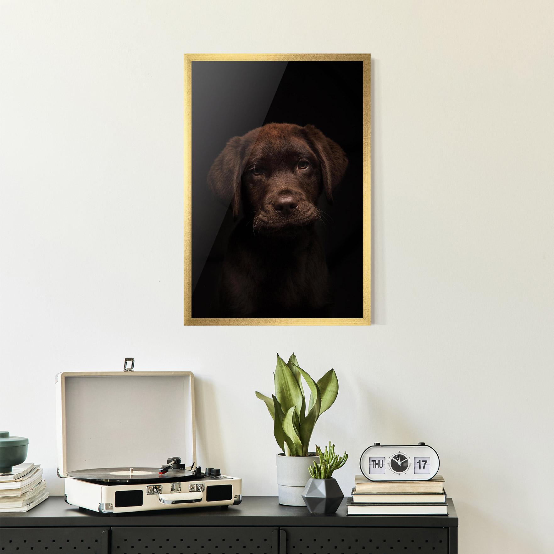 Gerahmte Poster Chocolate Labrador mockup 2
