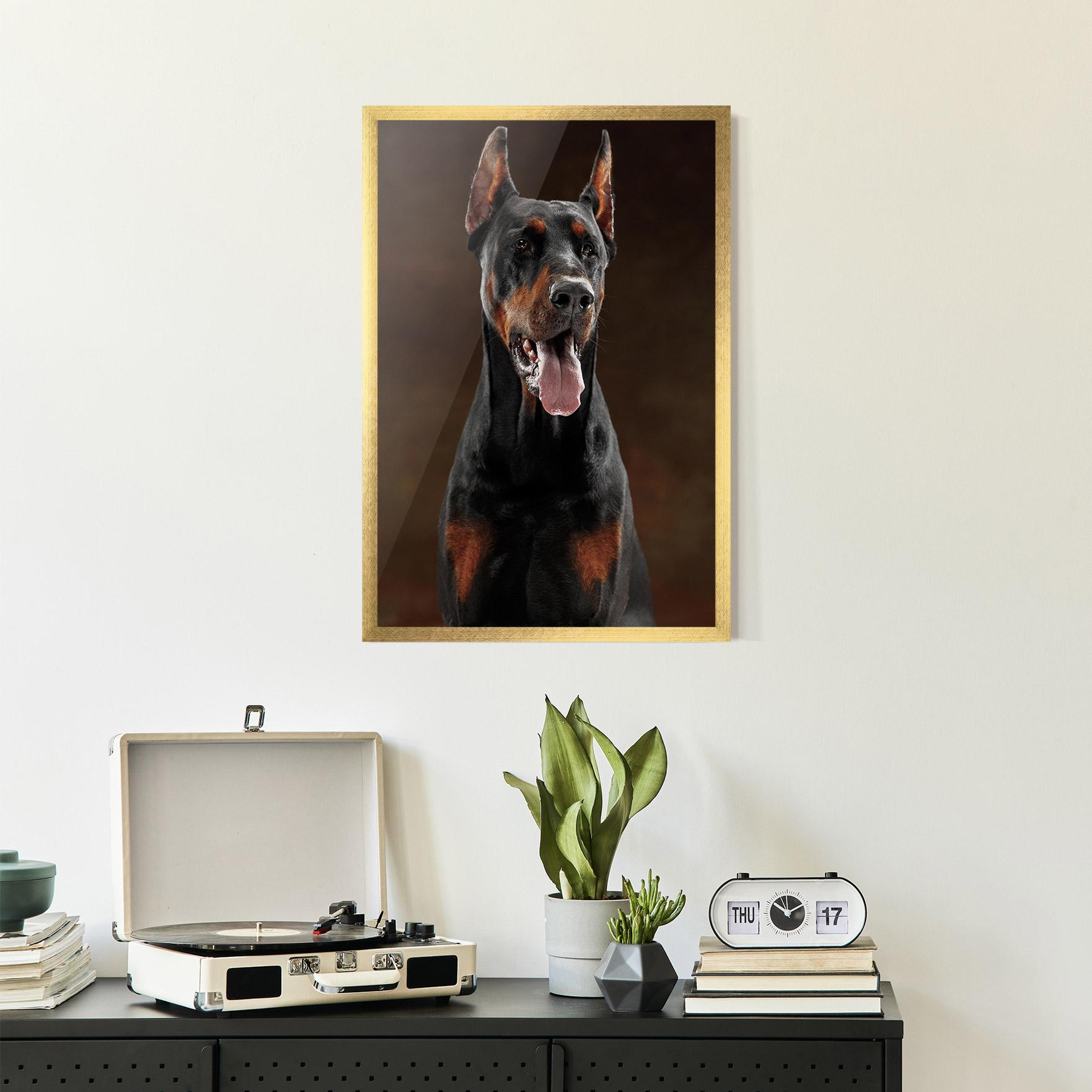 Gerahmte Poster Doberman Looking mockup 2
