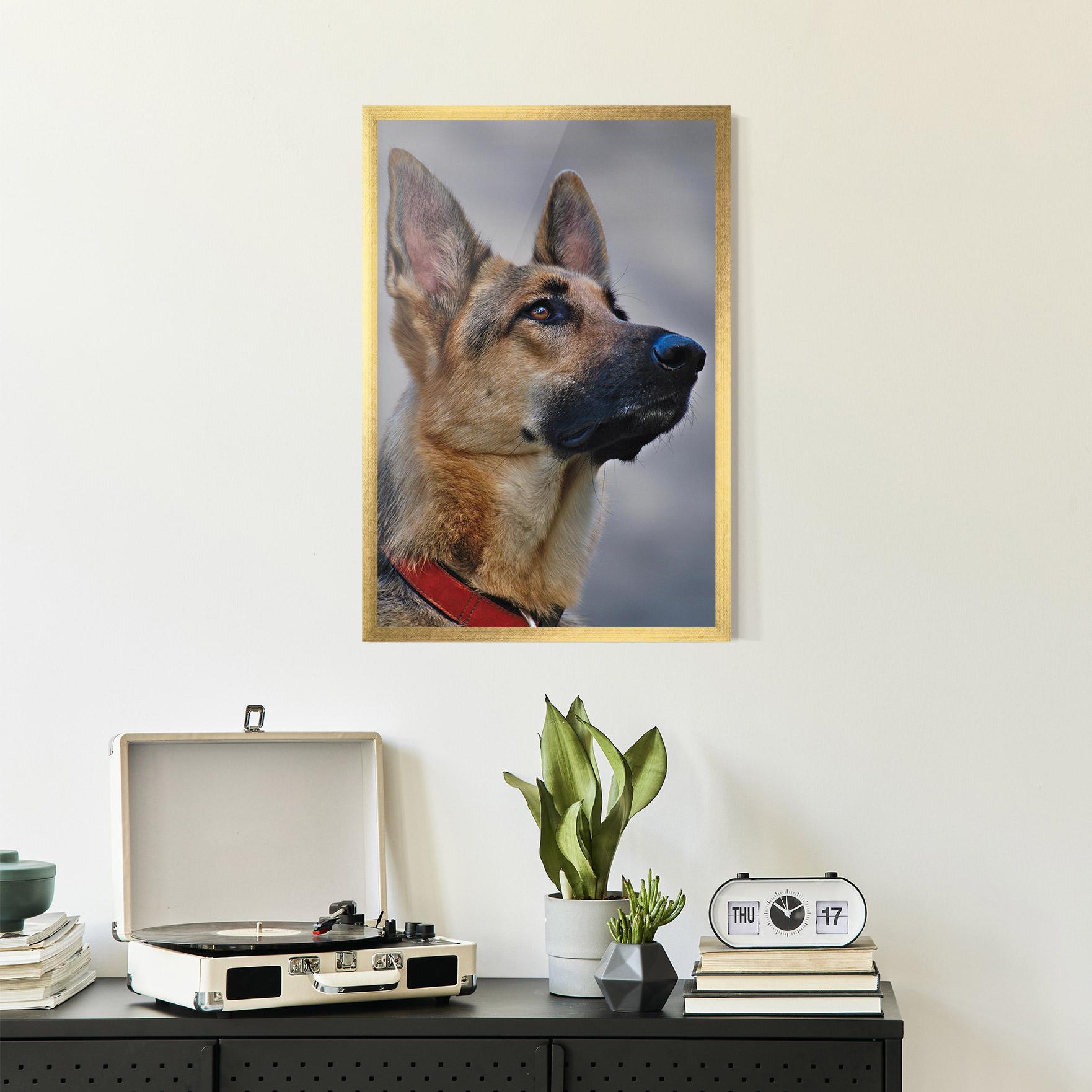 Gerahmte Poster German Shepherd mockup 2