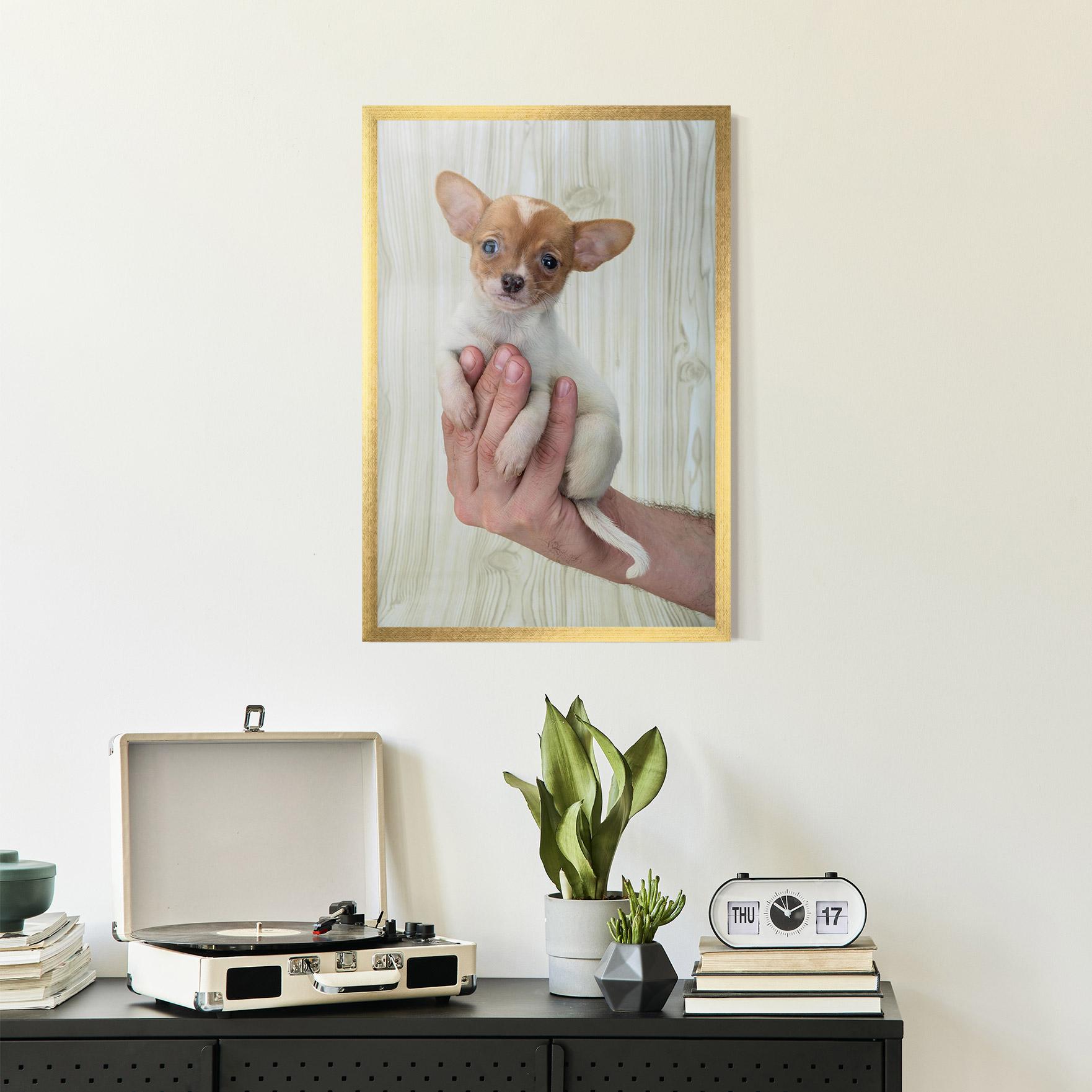 Gerahmte Poster Holding Chihuahua mockup 2