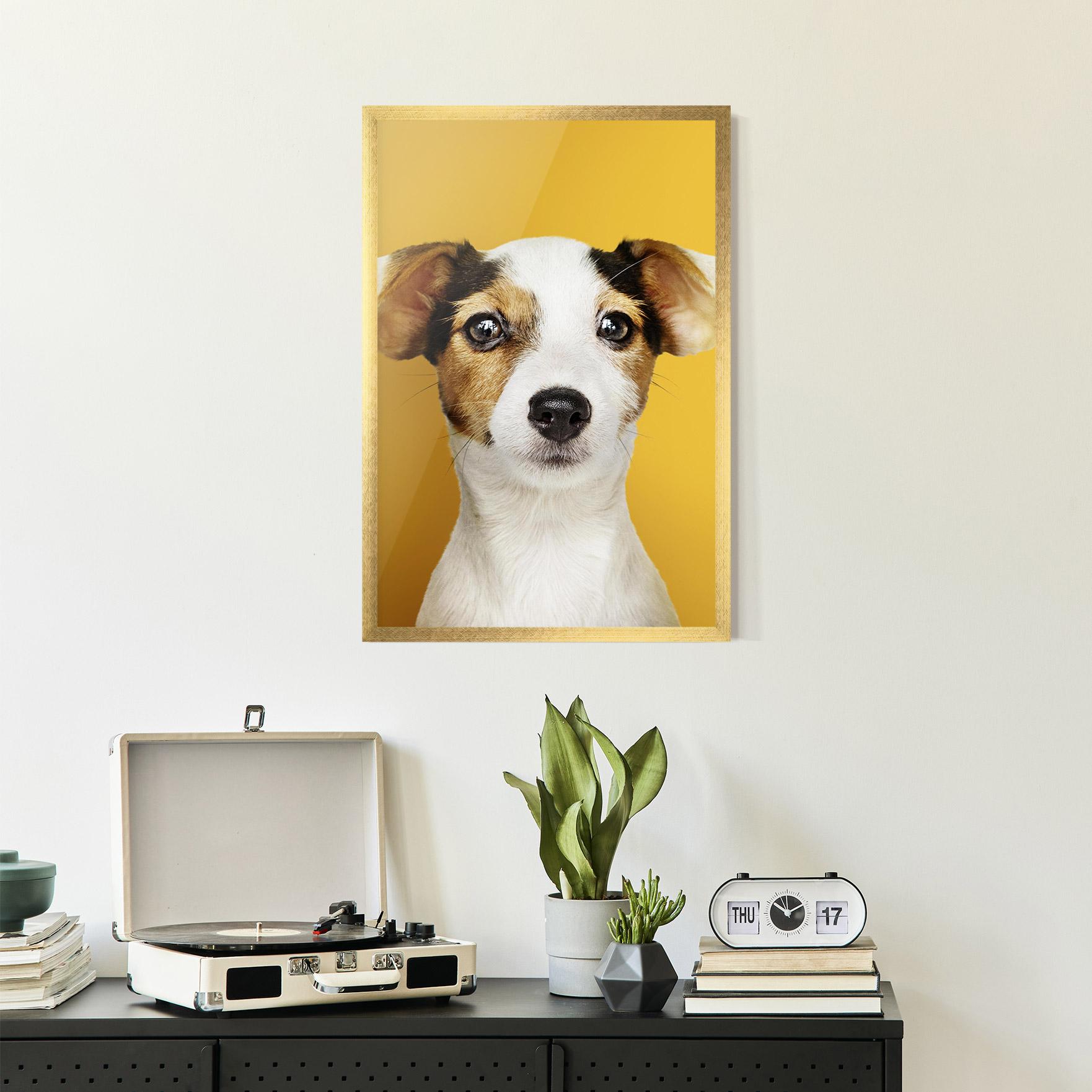 Gerahmte Poster Puppy On Yellow mockup 2