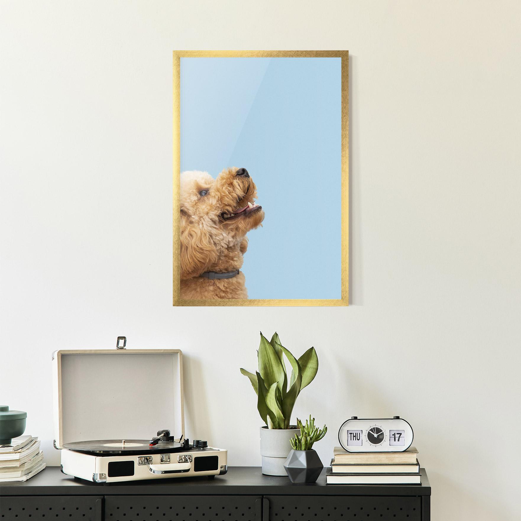 Gerahmte Poster Yellow Cute Dog mockup 2