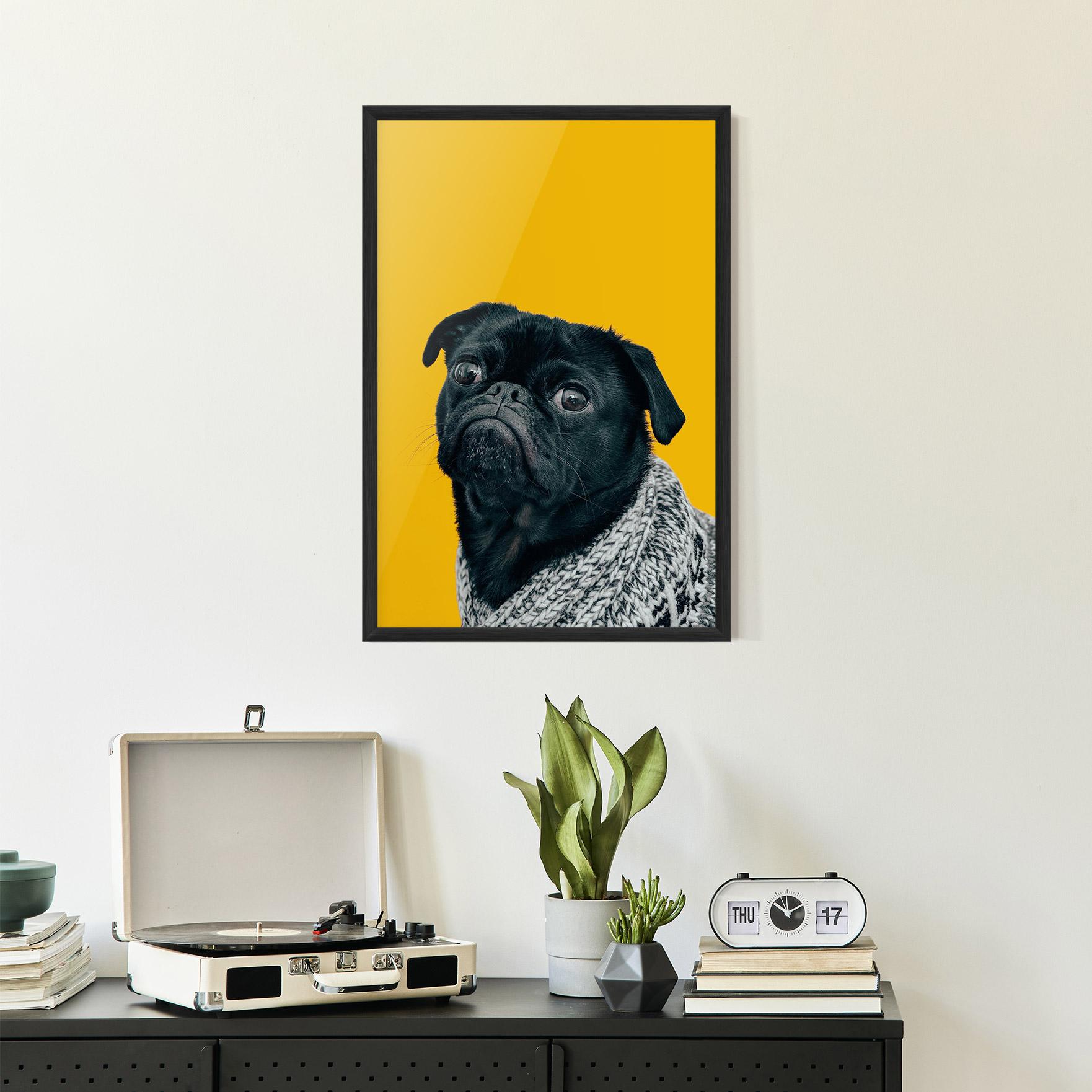 Gerahmte Poster Black Pug mockup 2