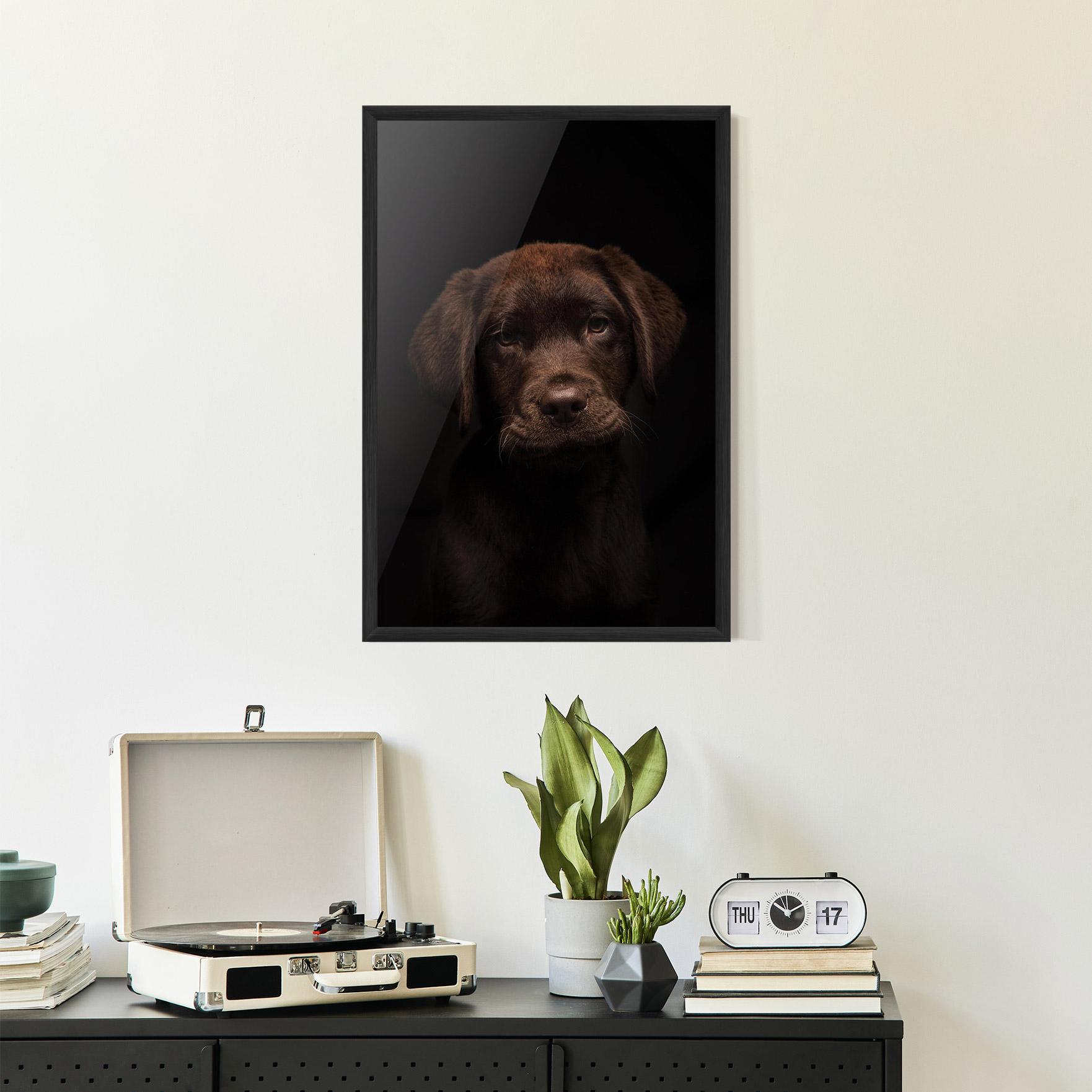 Gerahmte Poster Chocolate Labrador mockup 2