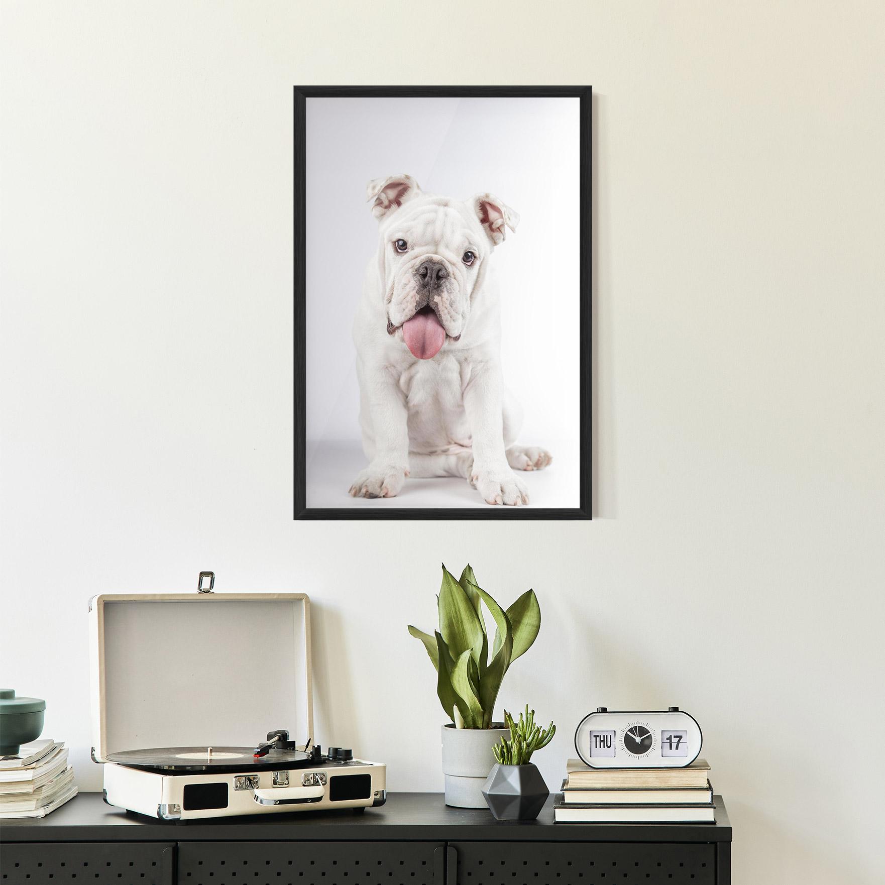 Gerahmte Poster English Bulldog mockup 2