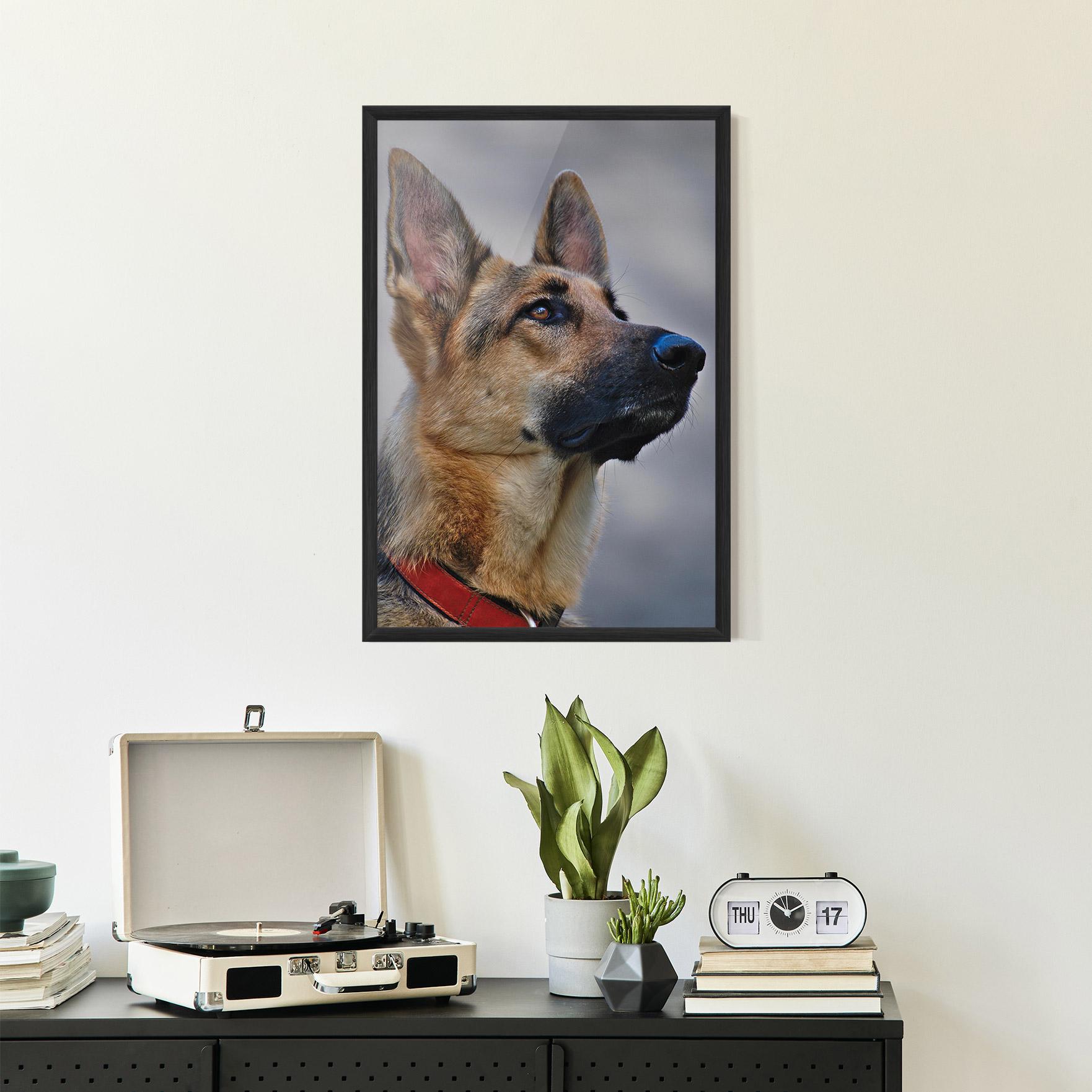 Gerahmte Poster German Shepherd mockup 2