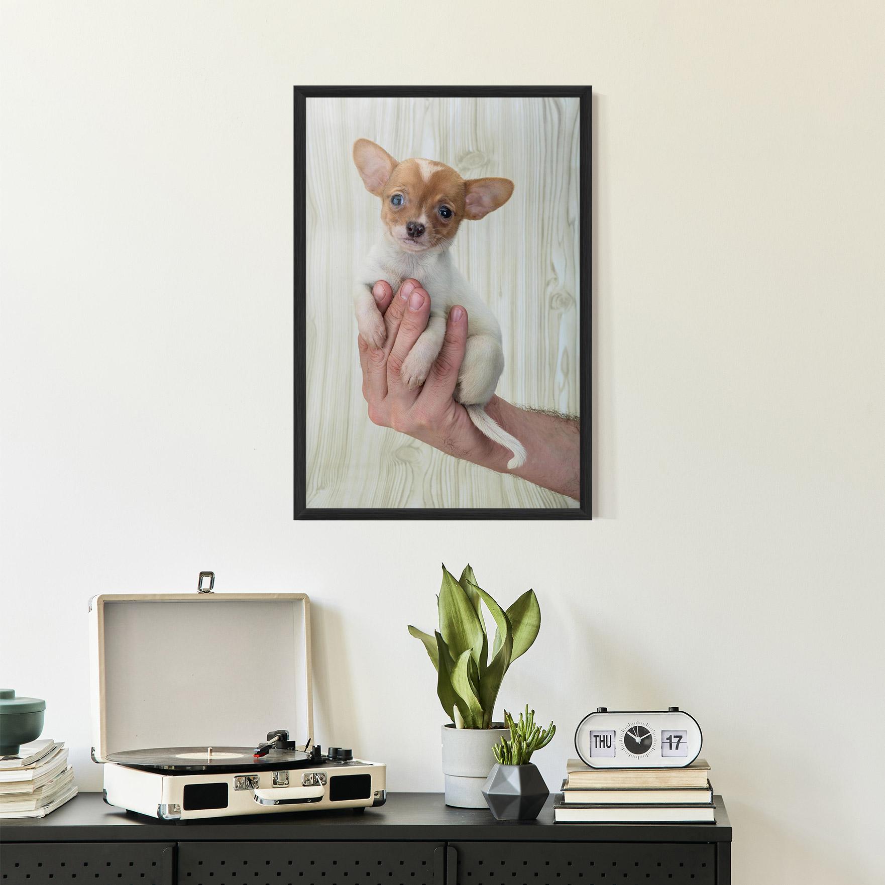 Gerahmte Poster Holding Chihuahua mockup 2