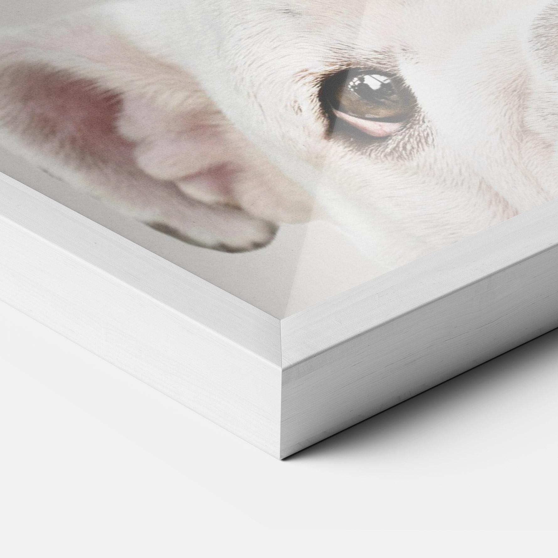Gerahmte Poster Bulldog Eyes mockup 3