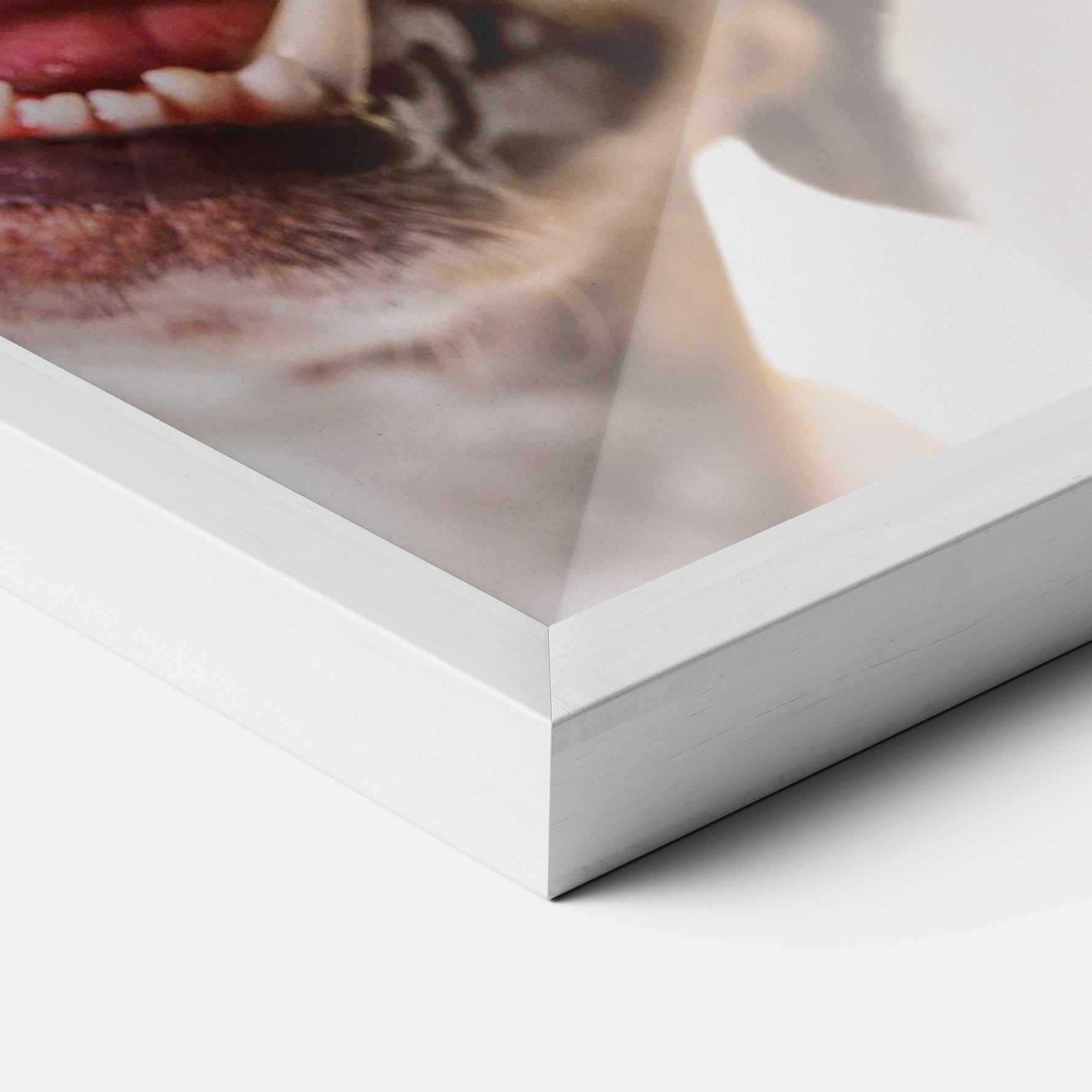 Gerahmte Poster Cute Pet Collage mockup 3