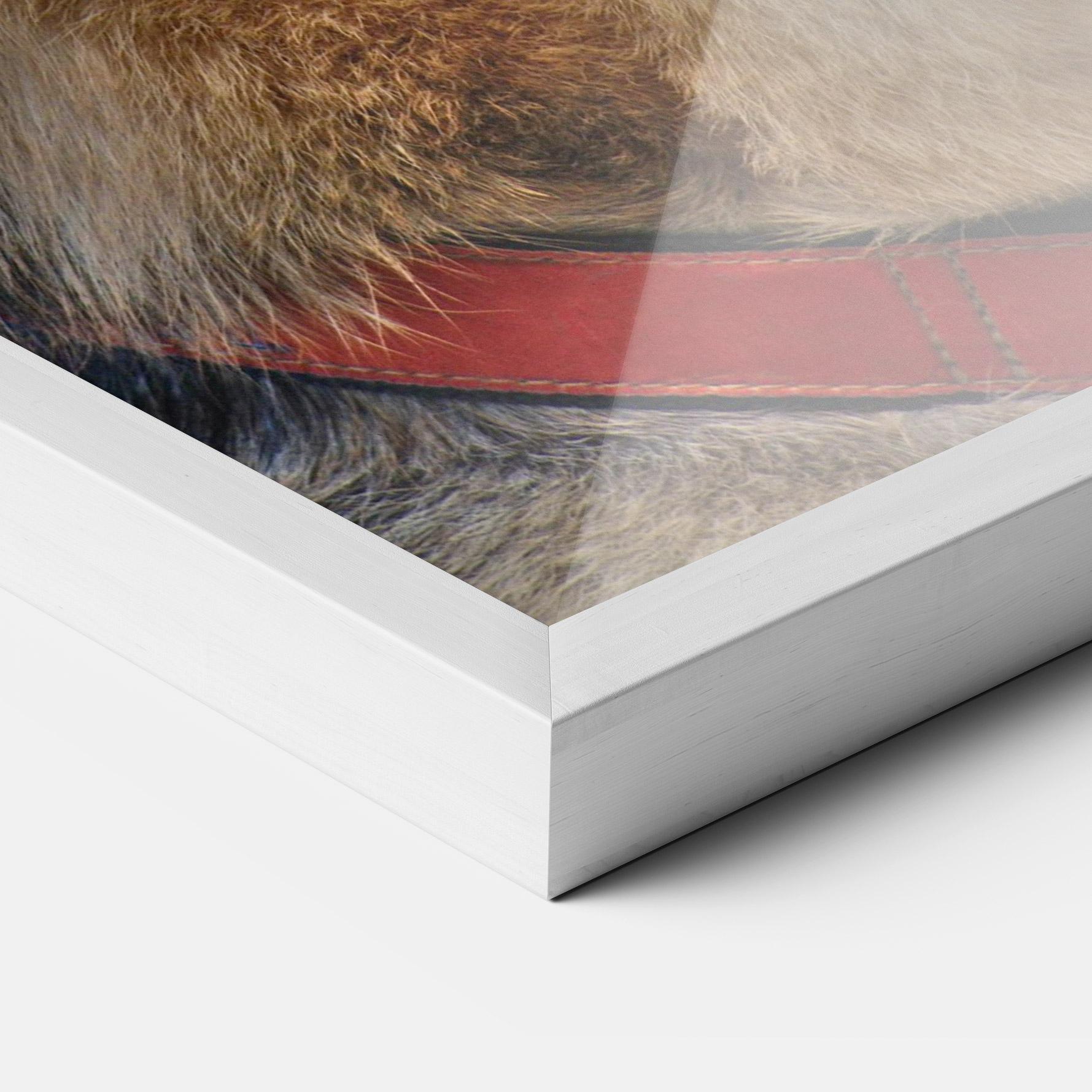 Gerahmte Poster German Shepherd mockup 3