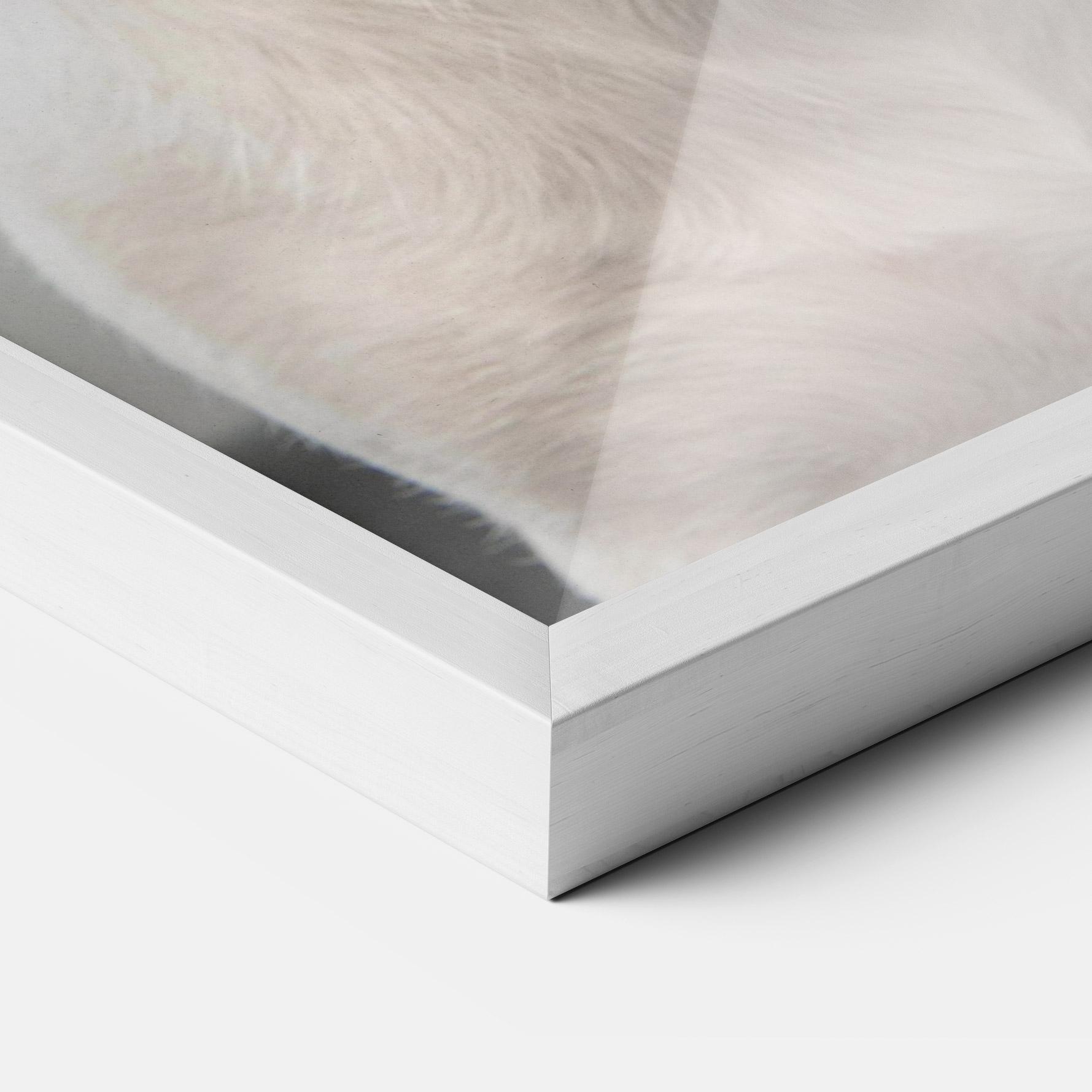 Gerahmte Poster Jack Russell Terrier mockup 3