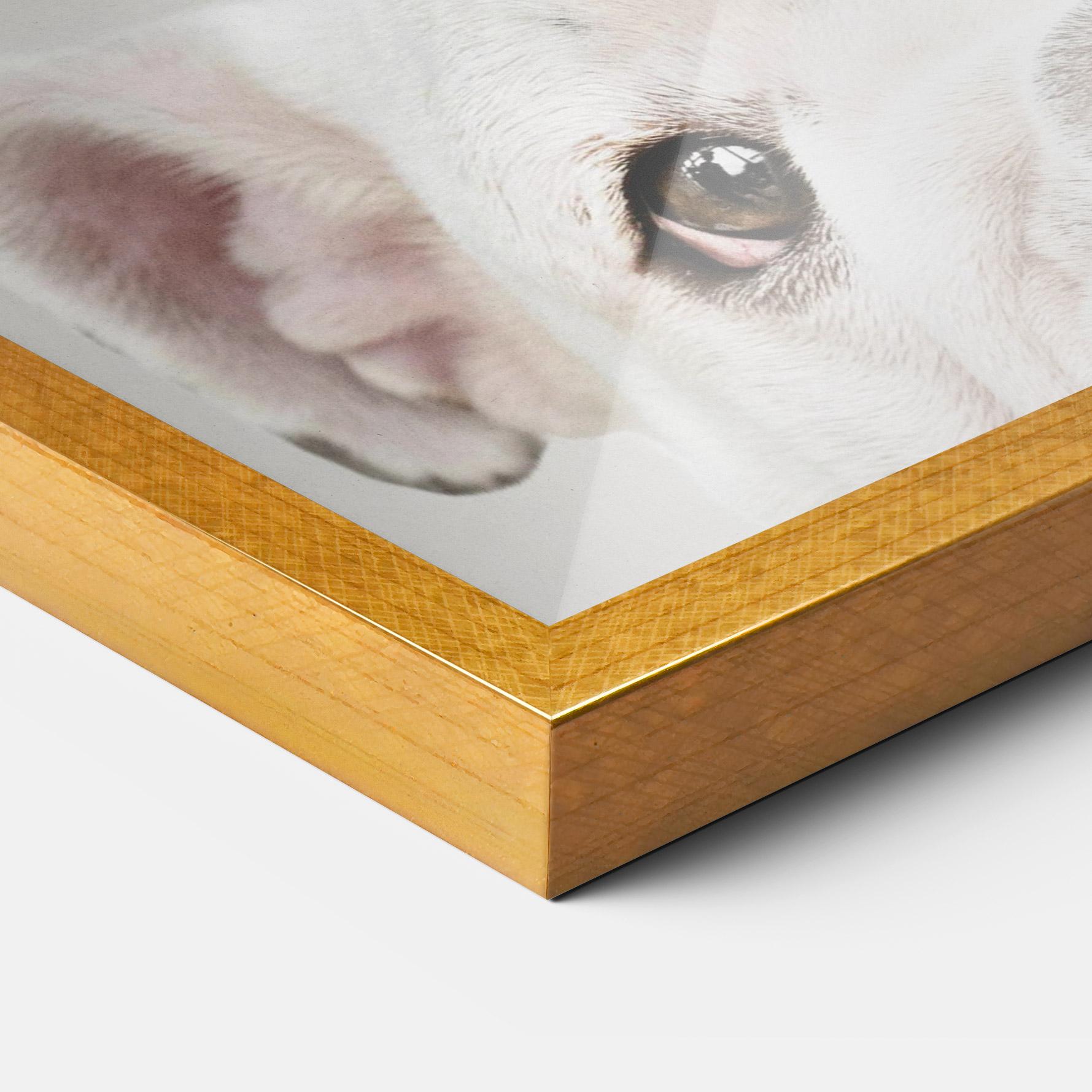 Gerahmte Poster Bulldog Eyes mockup 3