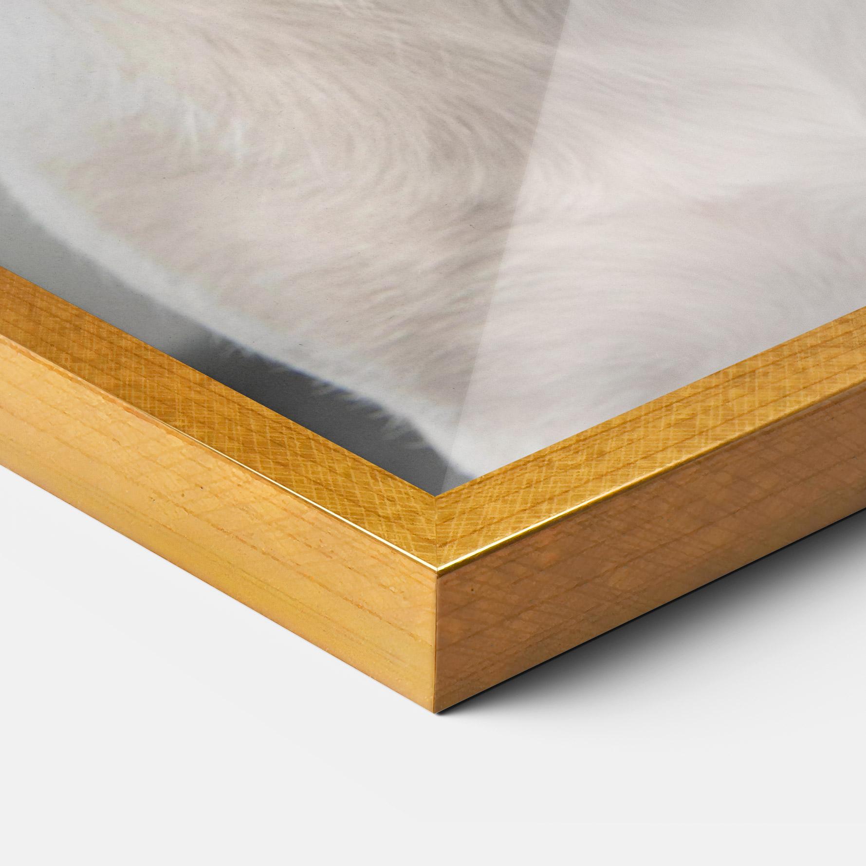 Gerahmte Poster Jack Russell Terrier mockup 3