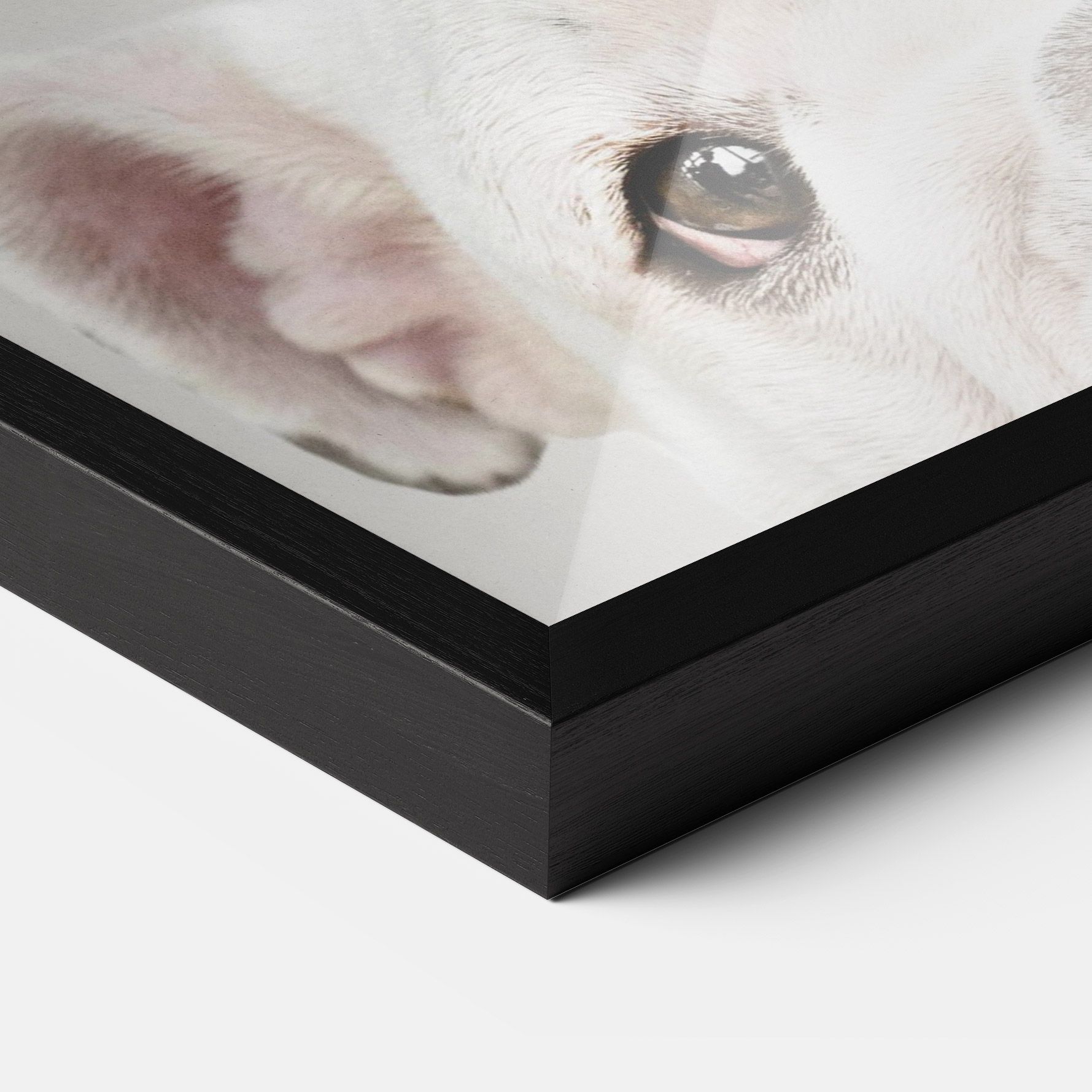 Bulldog Eyes mockup 3