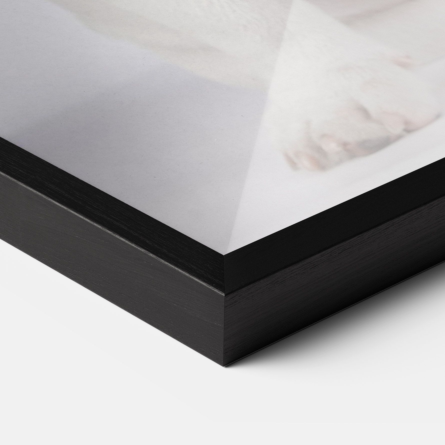 English Bulldog mockup 3