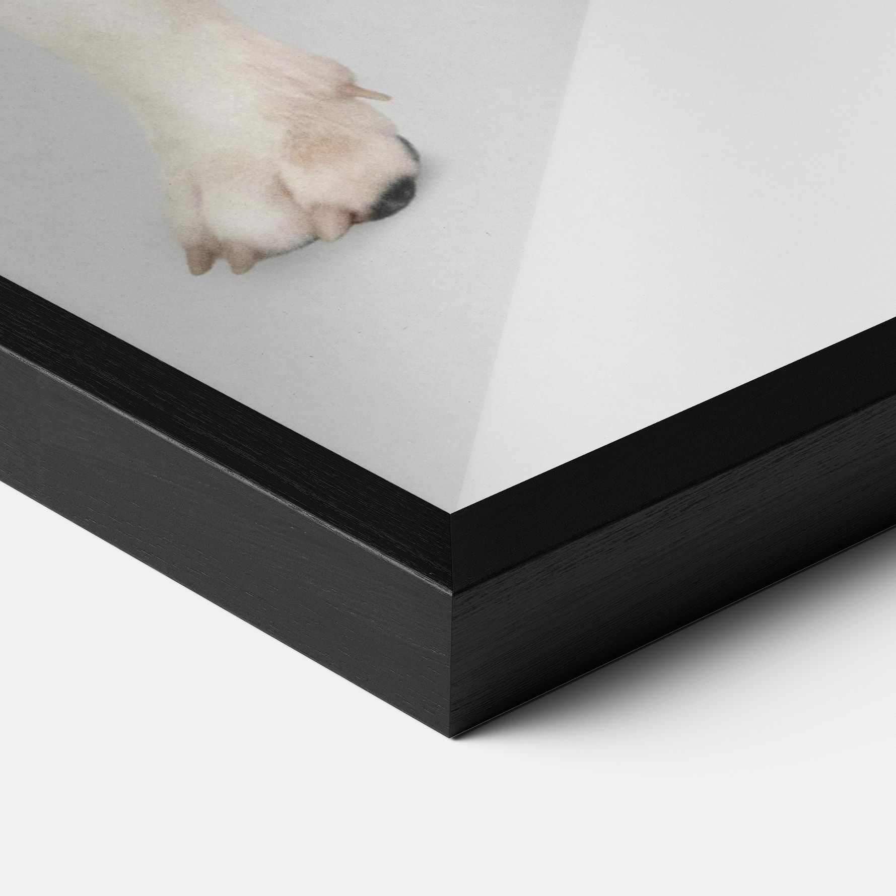 Happy White Dog mockup 3