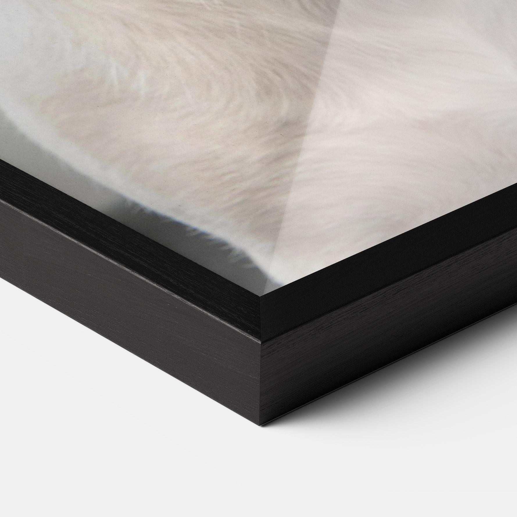 Gerahmte Poster Jack Russell Terrier mockup 3