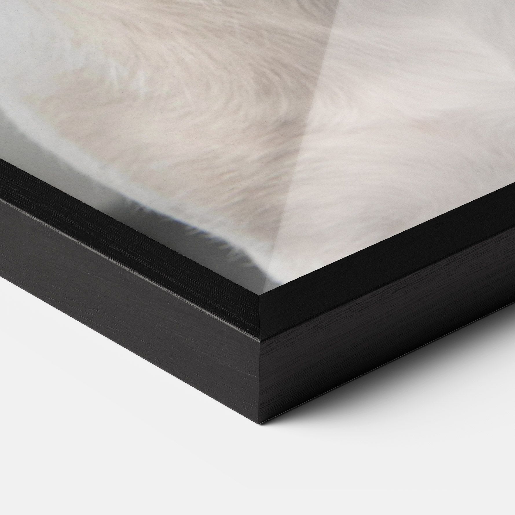 Jack Russell Terrier mockup 3