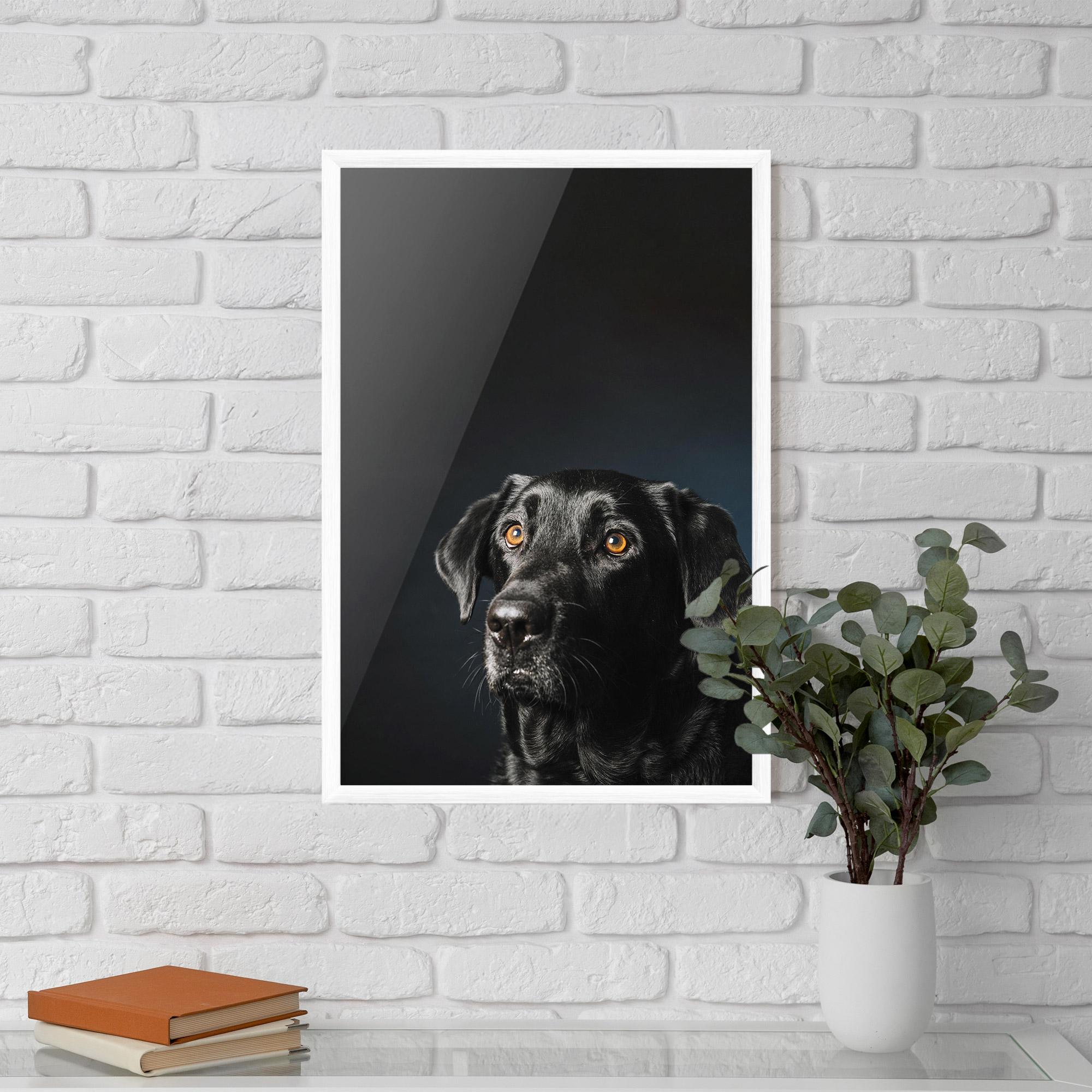 Gerahmte Poster Brown Eyes Dog mockup 5