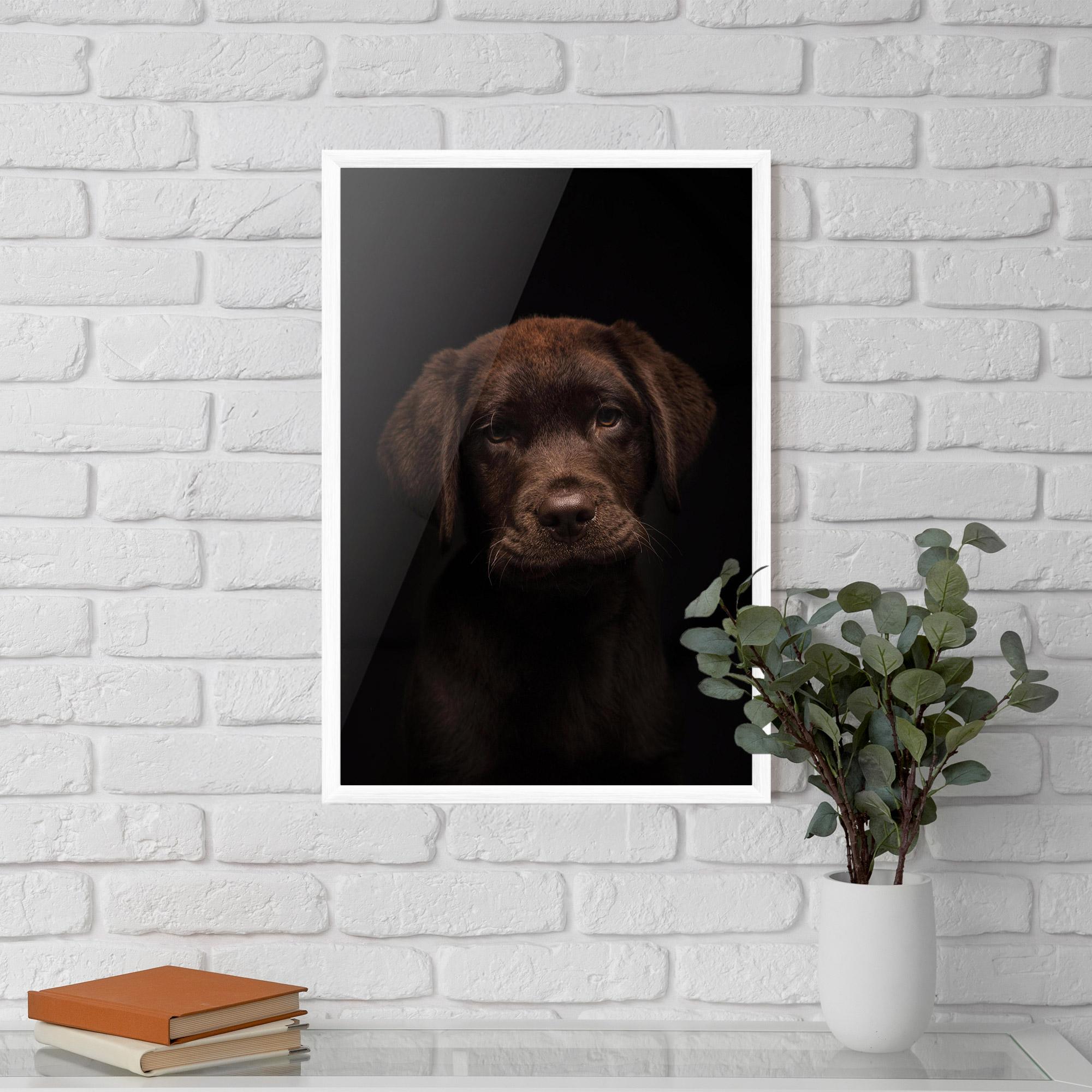 Gerahmte Poster Chocolate Labrador mockup 5