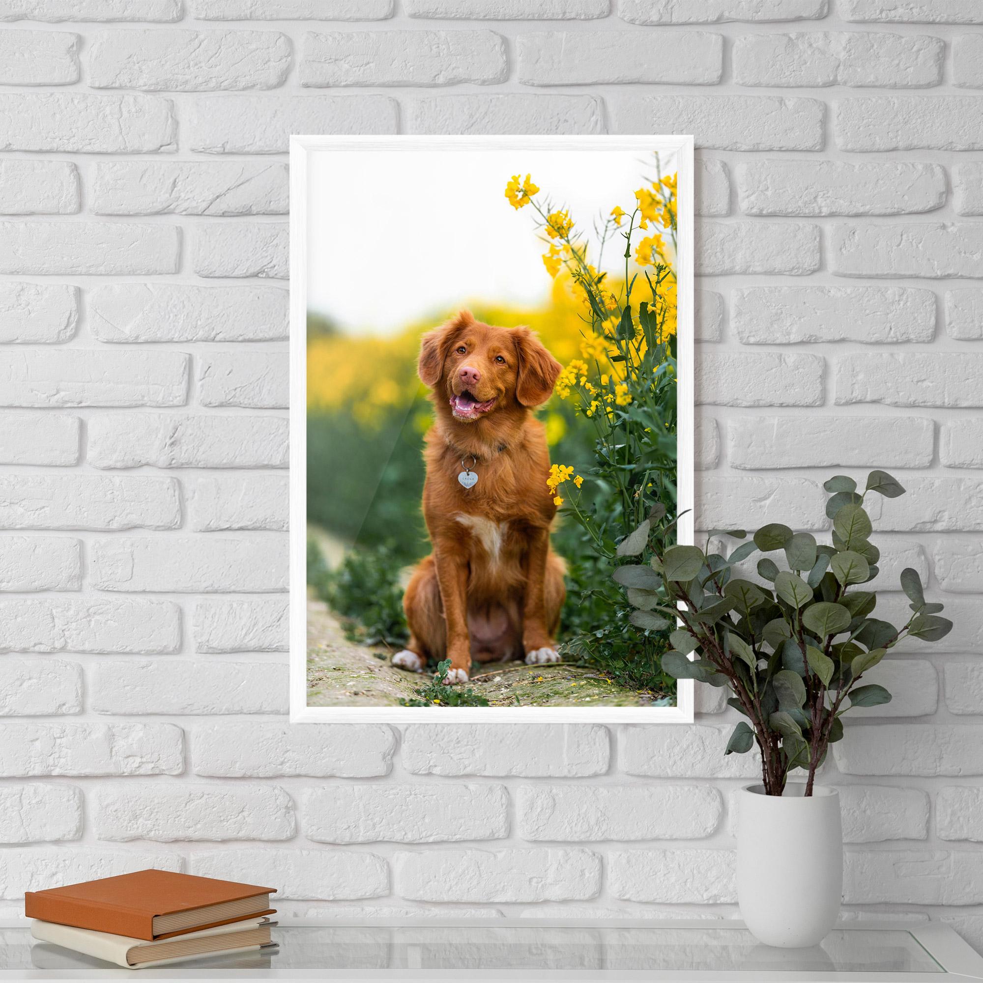 Gerahmte Poster Dog Yellow Flowers mockup 5