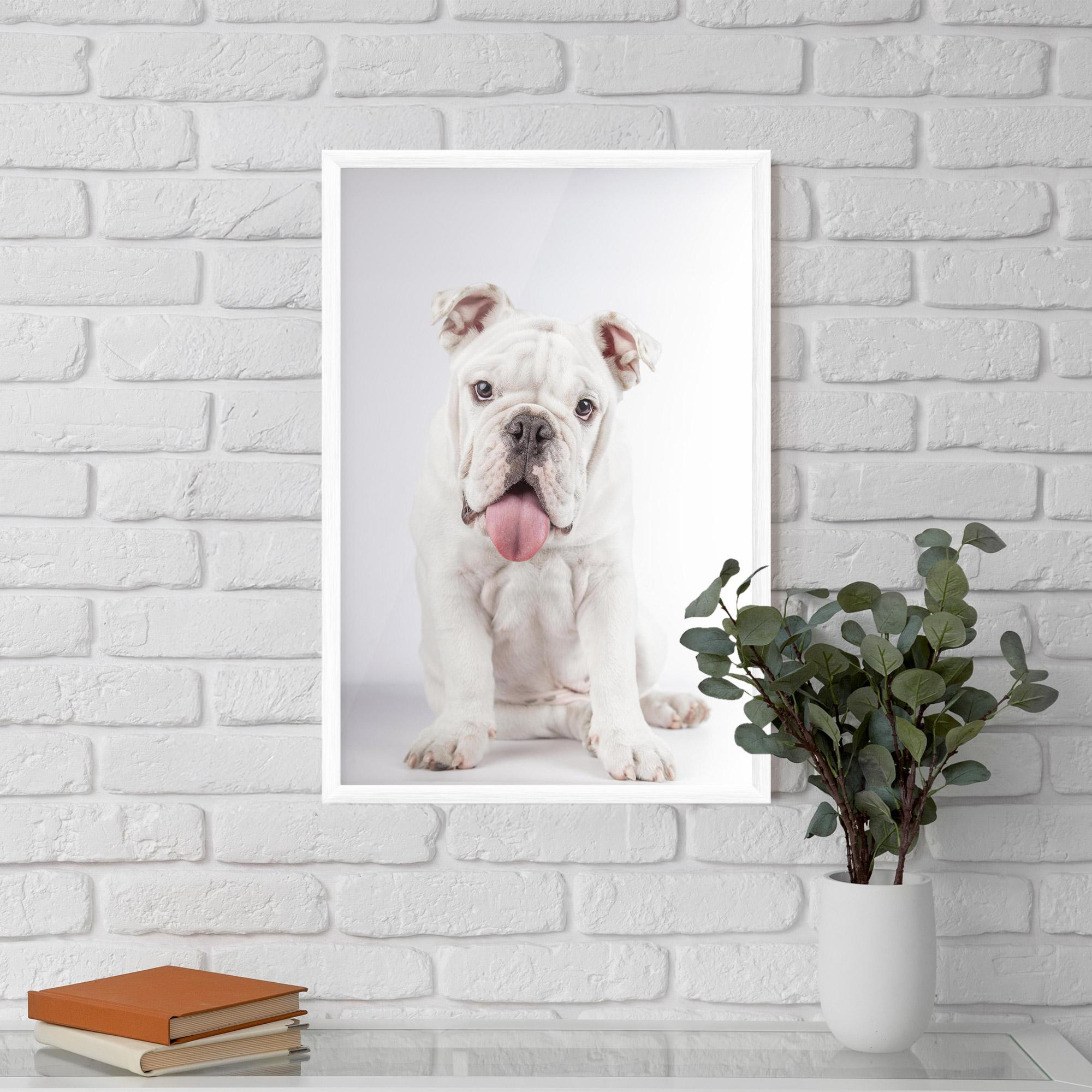 Gerahmte Poster English Bulldog mockup 5