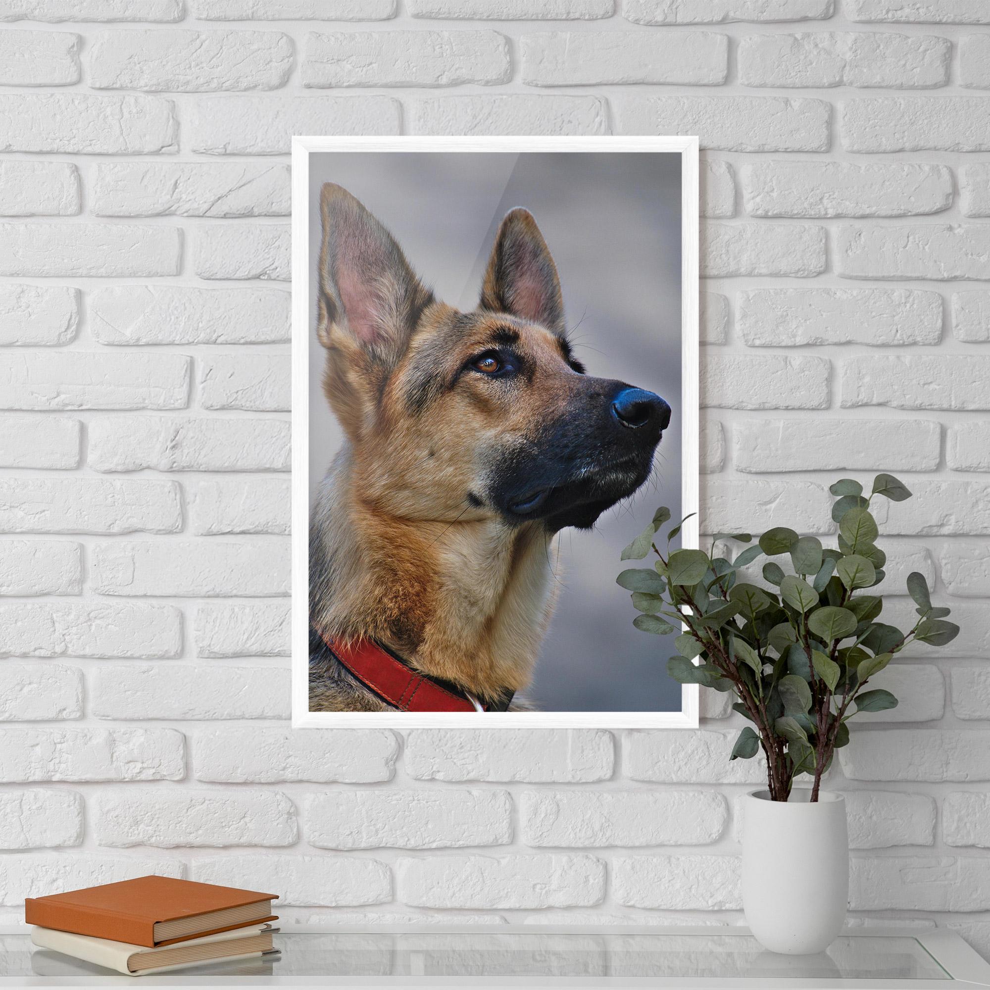 Gerahmte Poster German Shepherd mockup 5