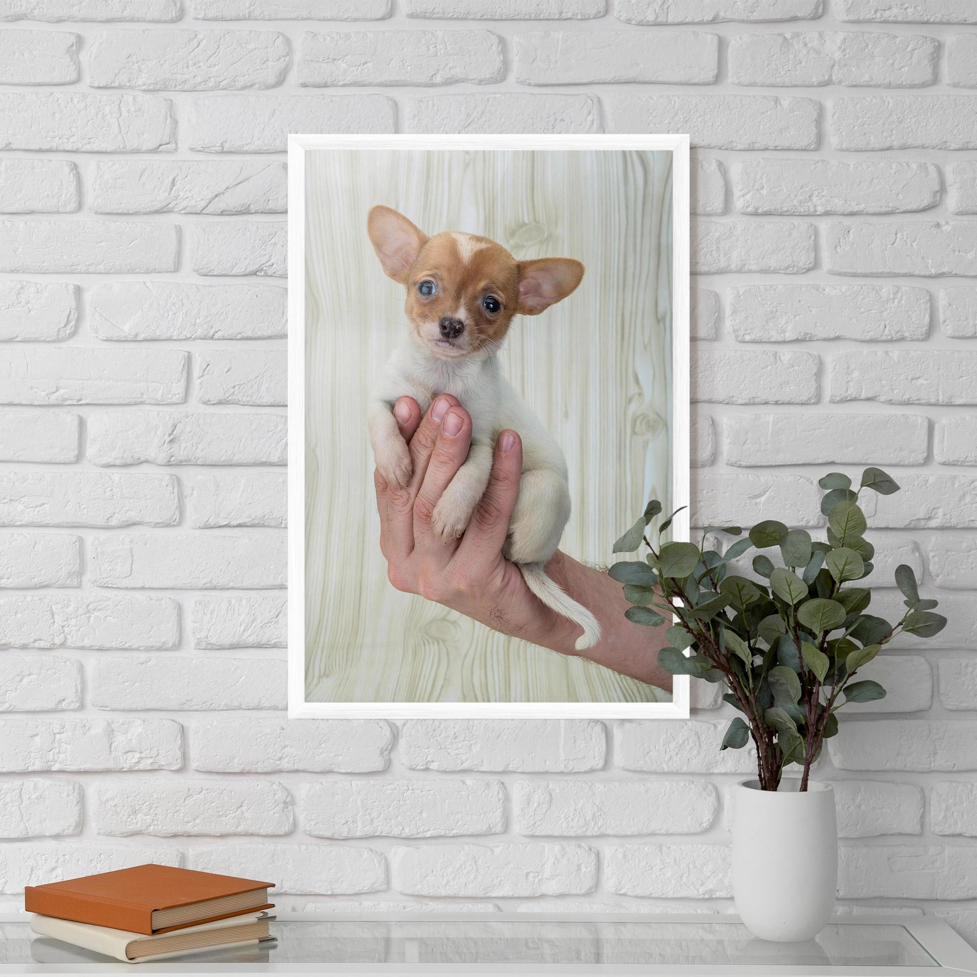 Gerahmte Poster Holding Chihuahua mockup 5