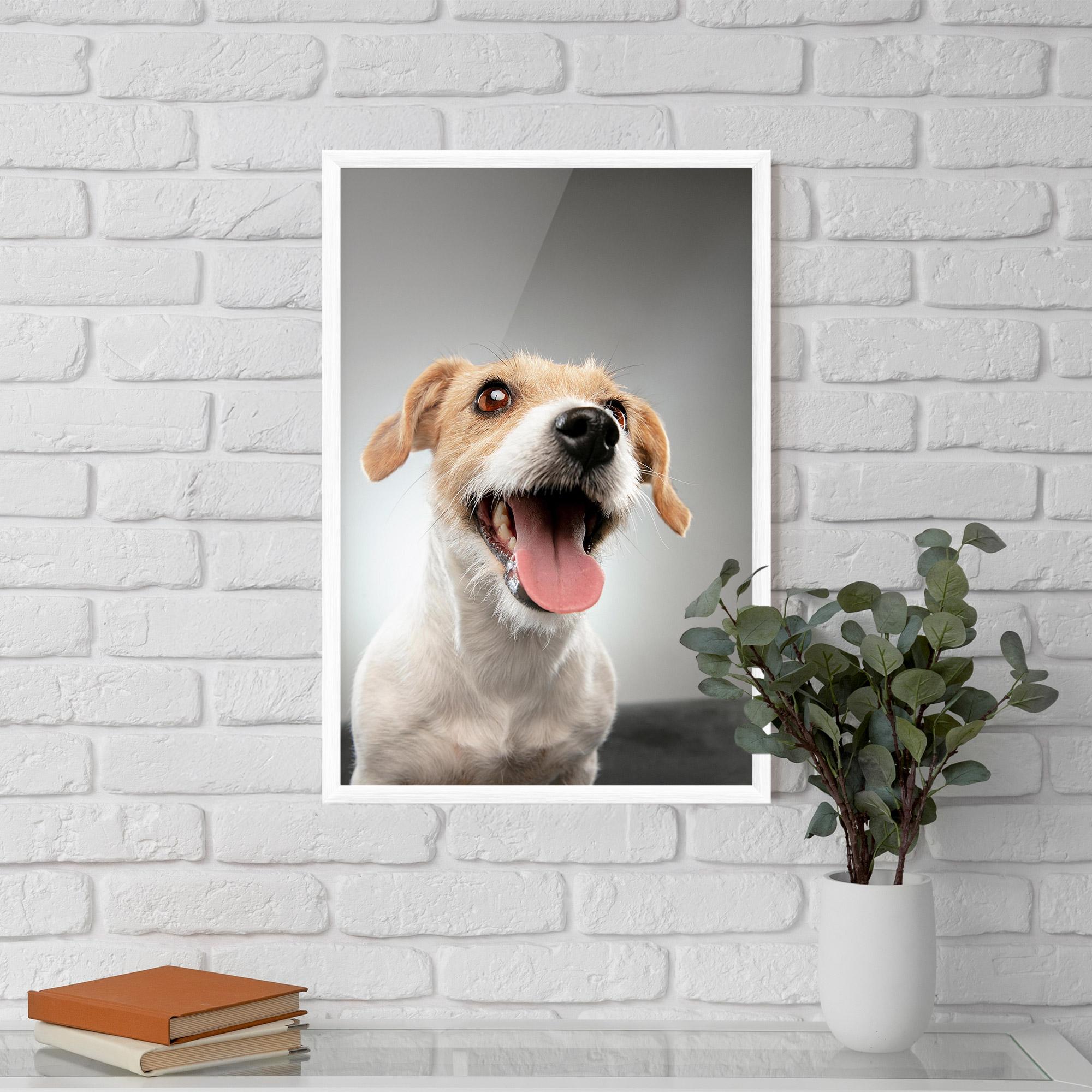 Gerahmte Poster Jack Russell Terrier mockup 5