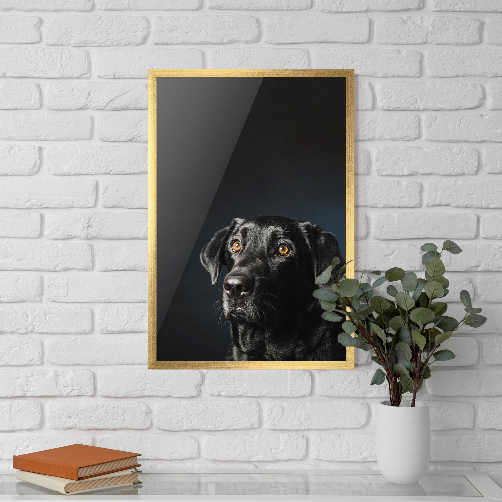 Gerahmte Poster Brown Eyes Dog mockup 5