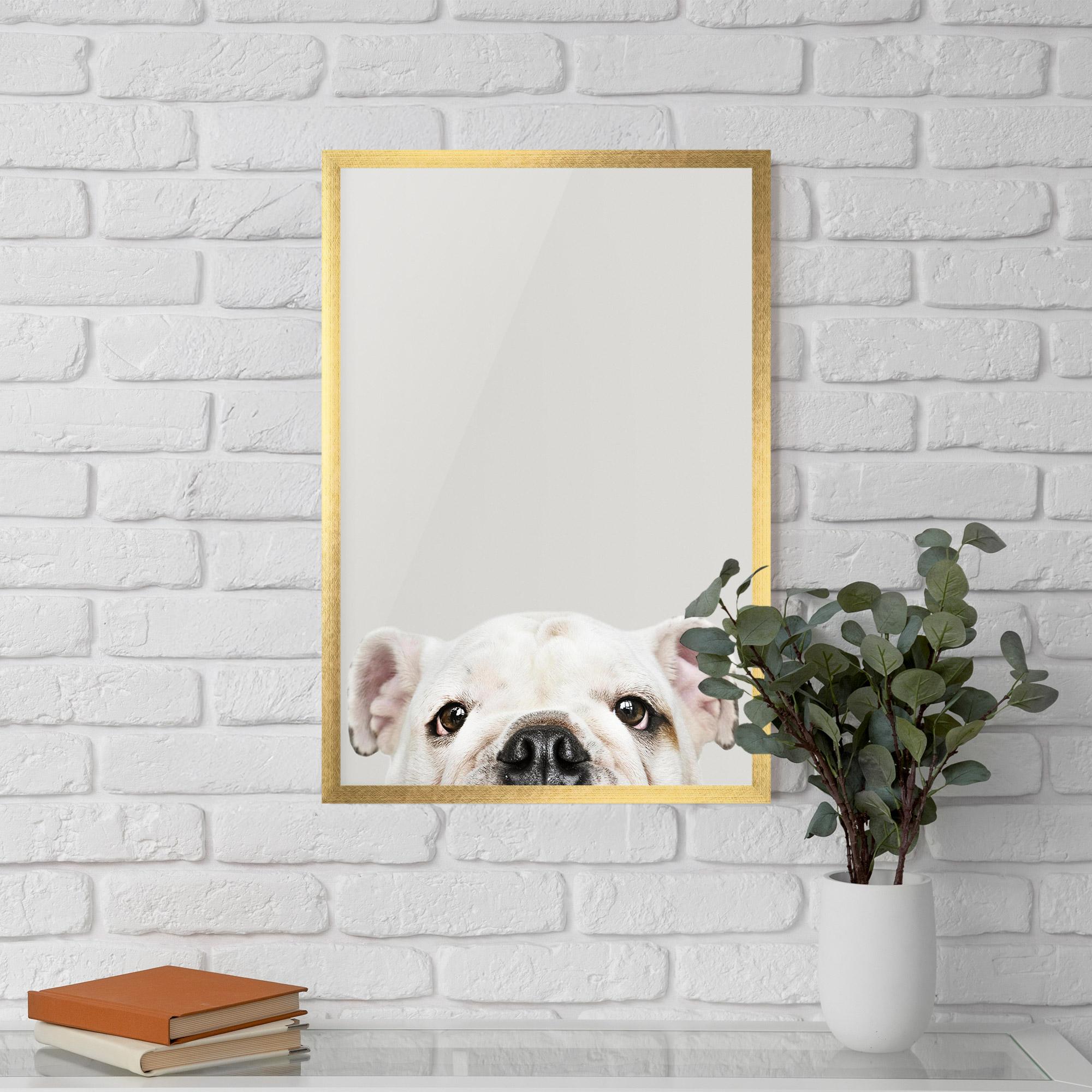 Gerahmte Poster Bulldog Eyes mockup 5