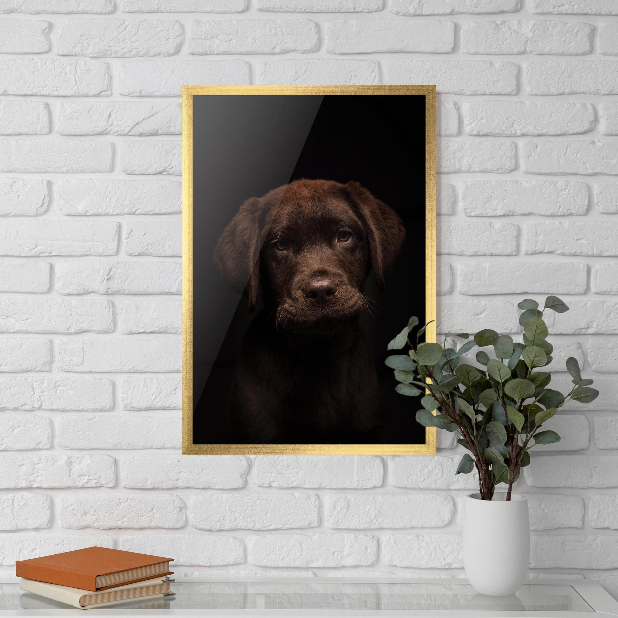 Gerahmte Poster Chocolate Labrador mockup 5