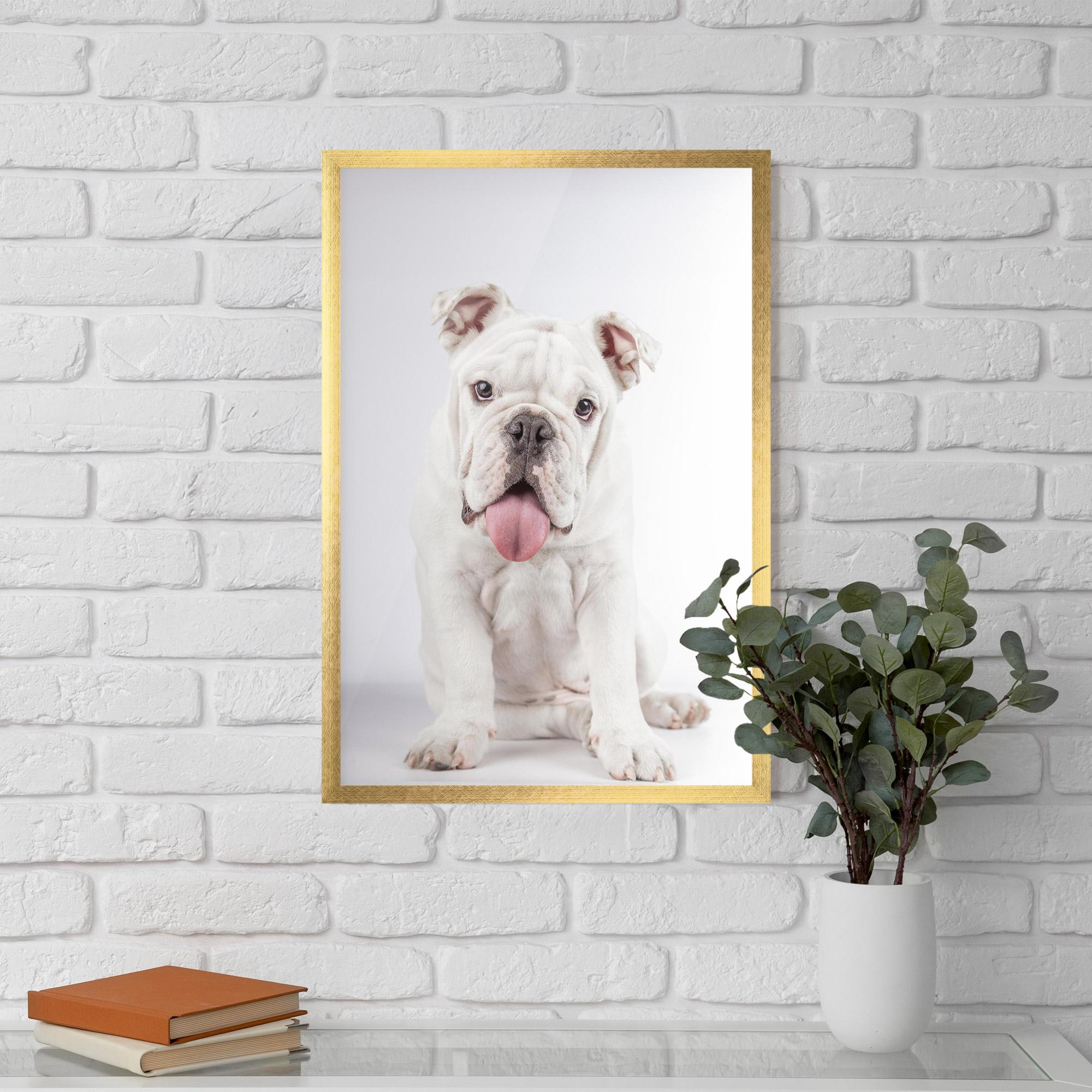 Gerahmte Poster English Bulldog mockup 5