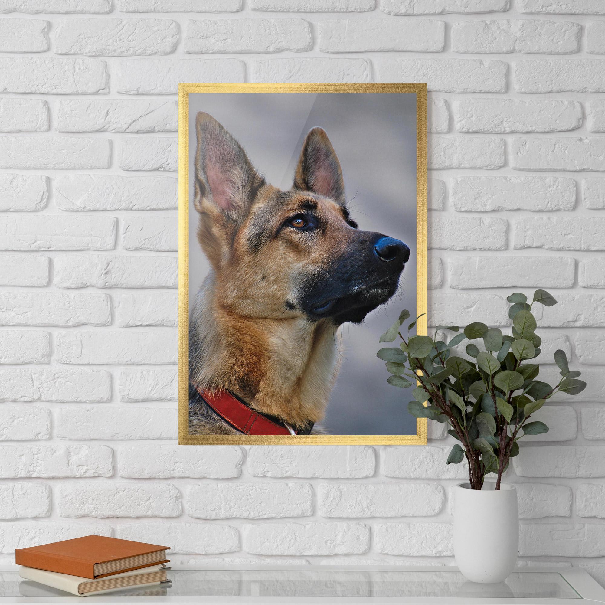 Gerahmte Poster German Shepherd mockup 5