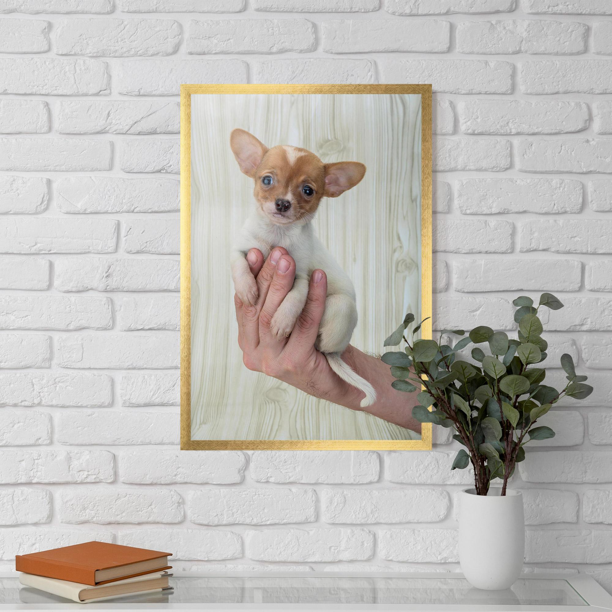 Gerahmte Poster Holding Chihuahua mockup 5