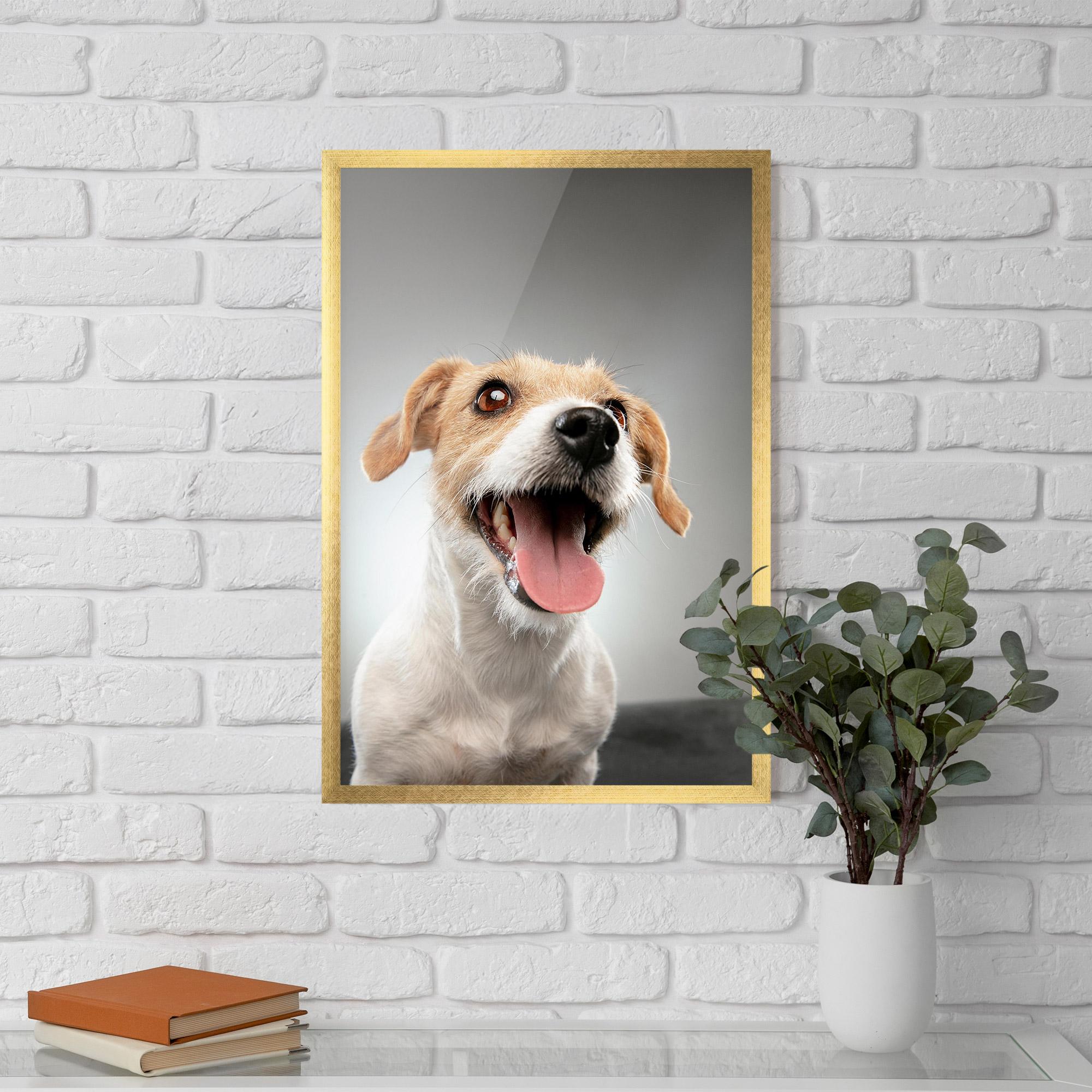 Gerahmte Poster Jack Russell Terrier mockup 5