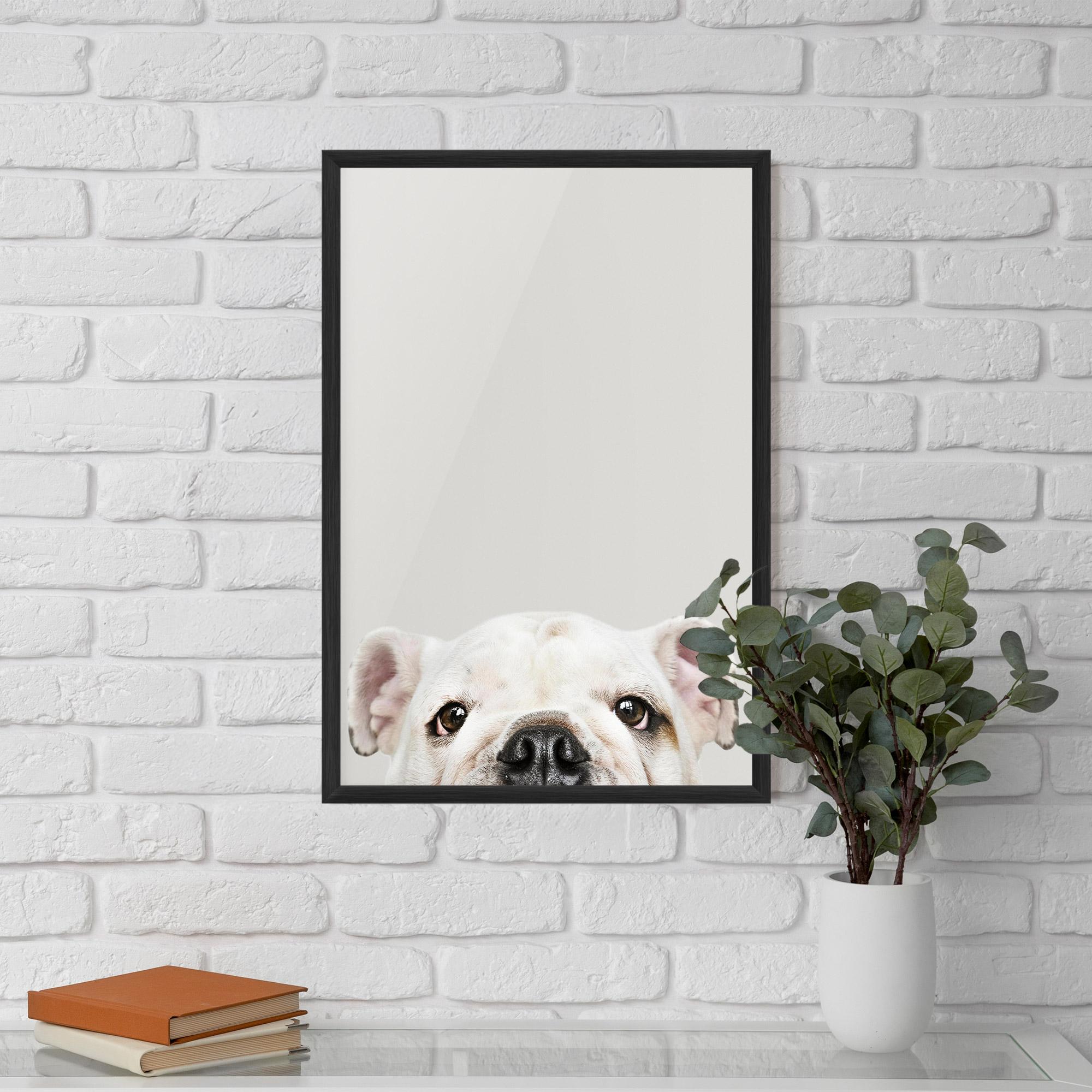 Gerahmte Poster Bulldog Eyes mockup 5
