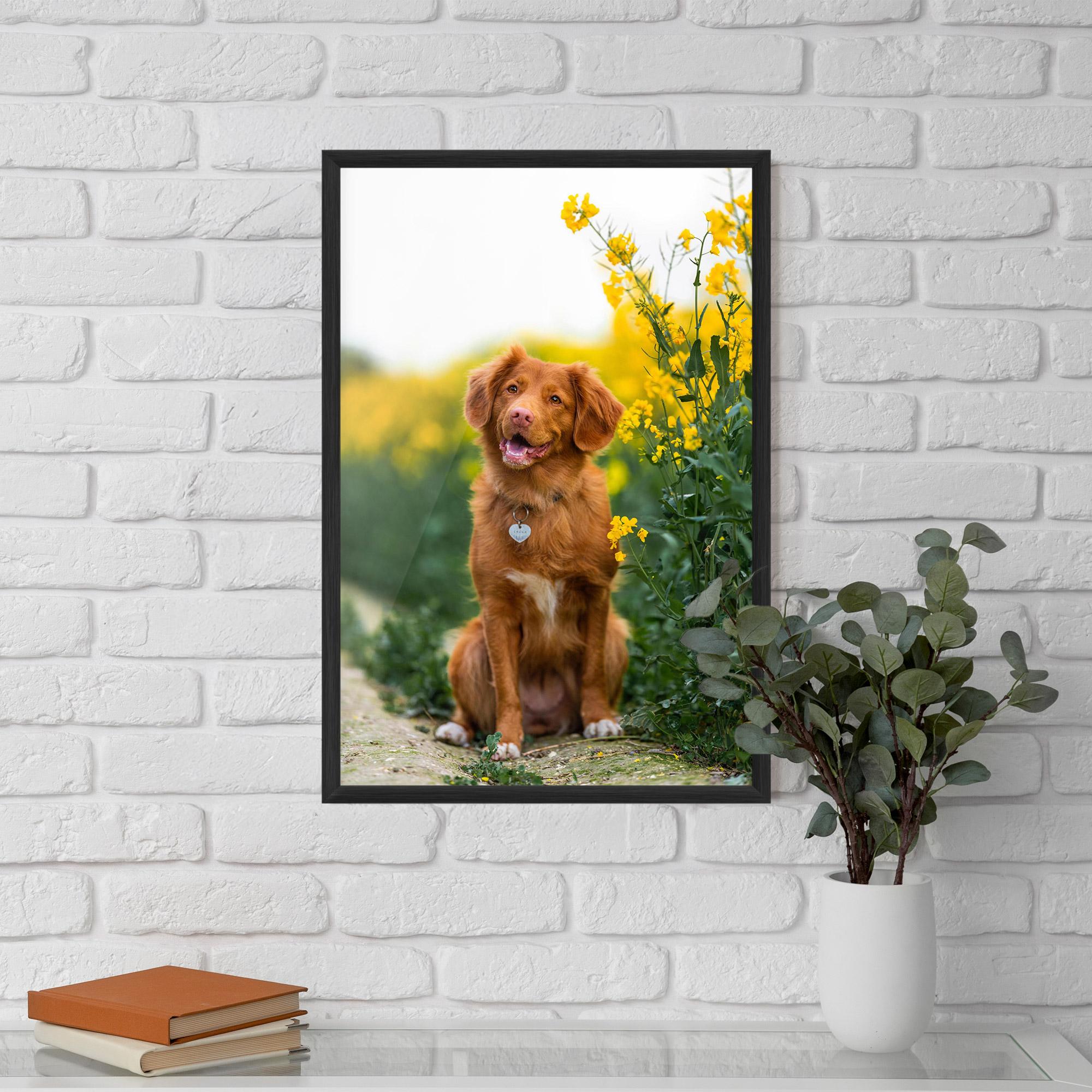 Gerahmte Poster Dog Yellow Flowers mockup 5