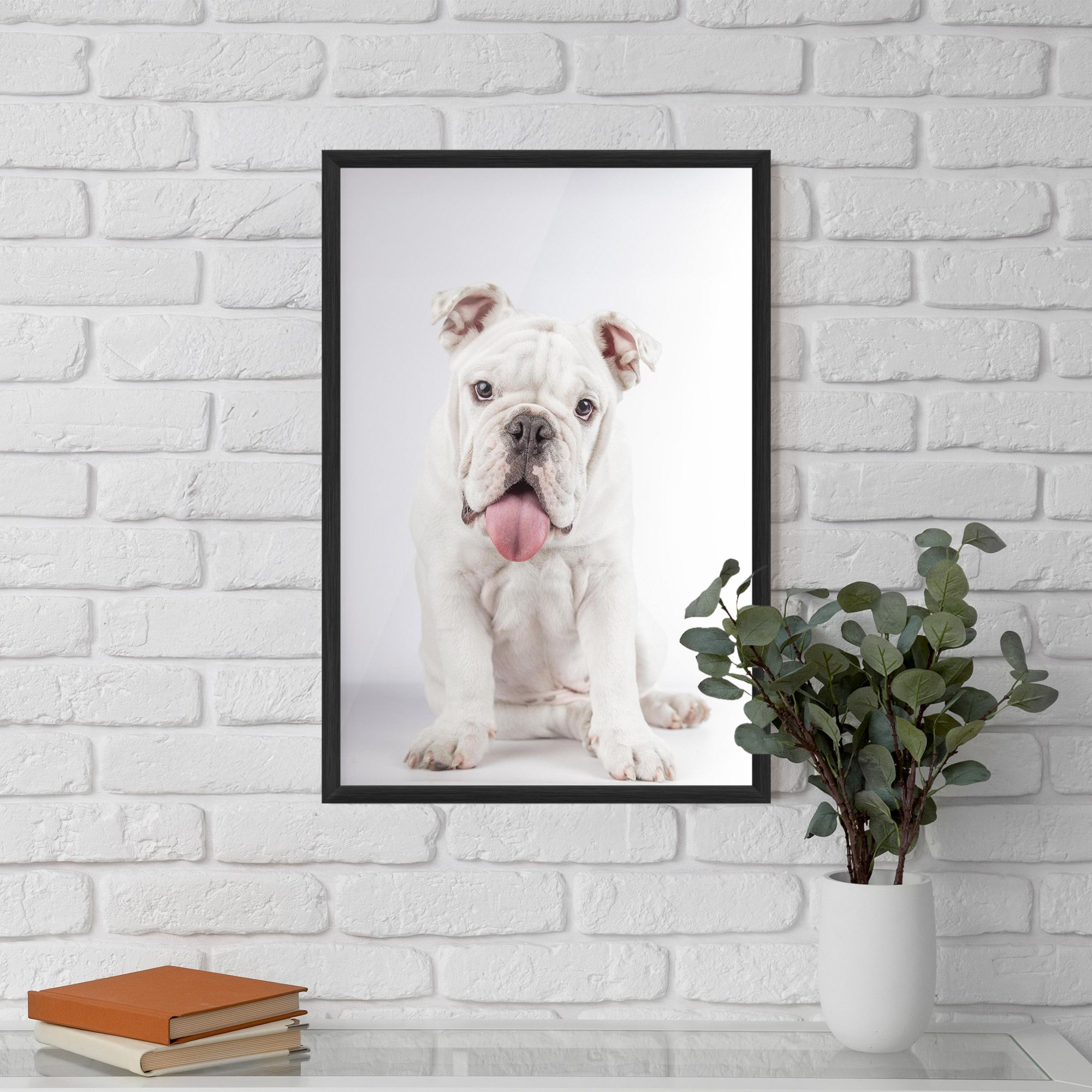 English Bulldog mockup 5
