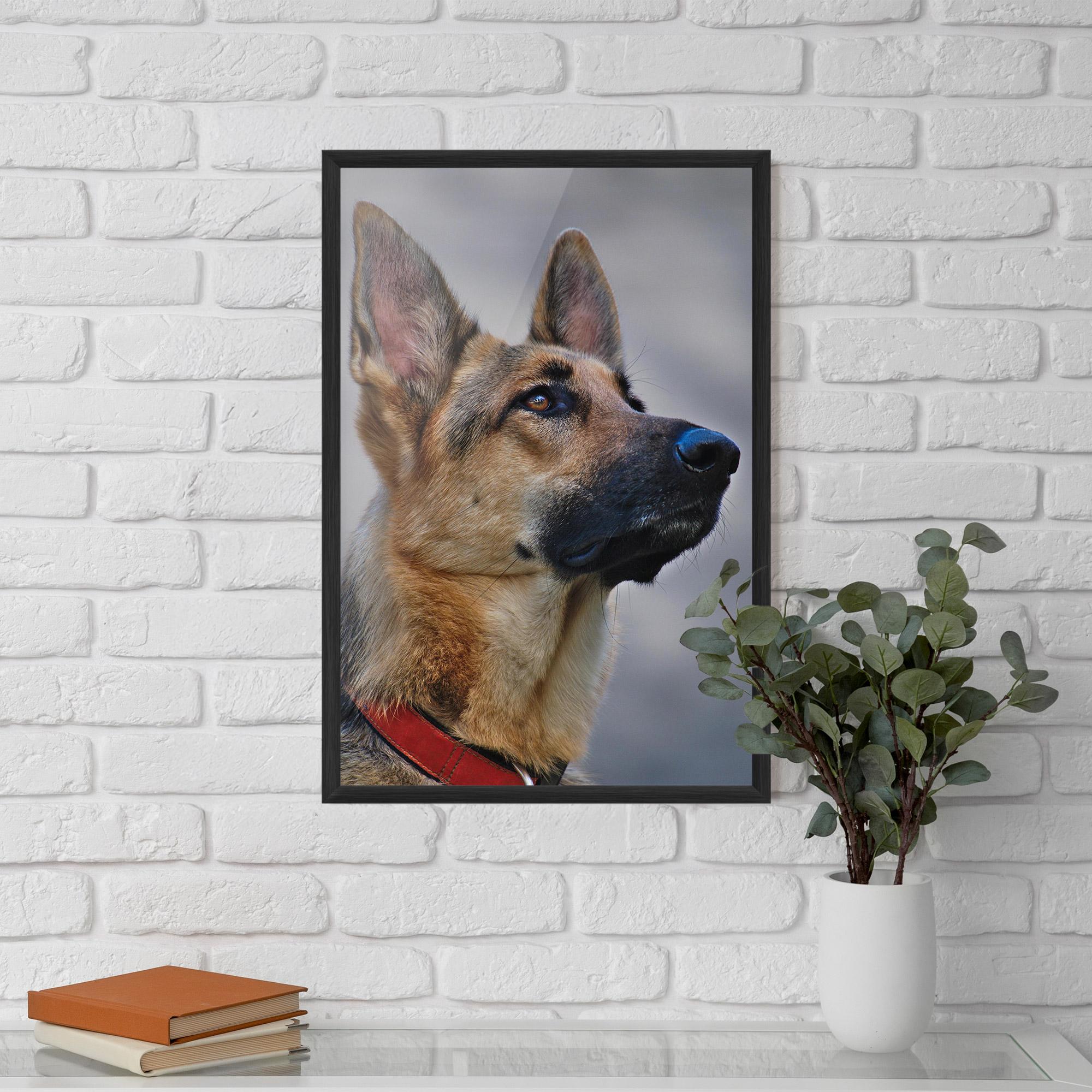 Gerahmte Poster German Shepherd mockup 5