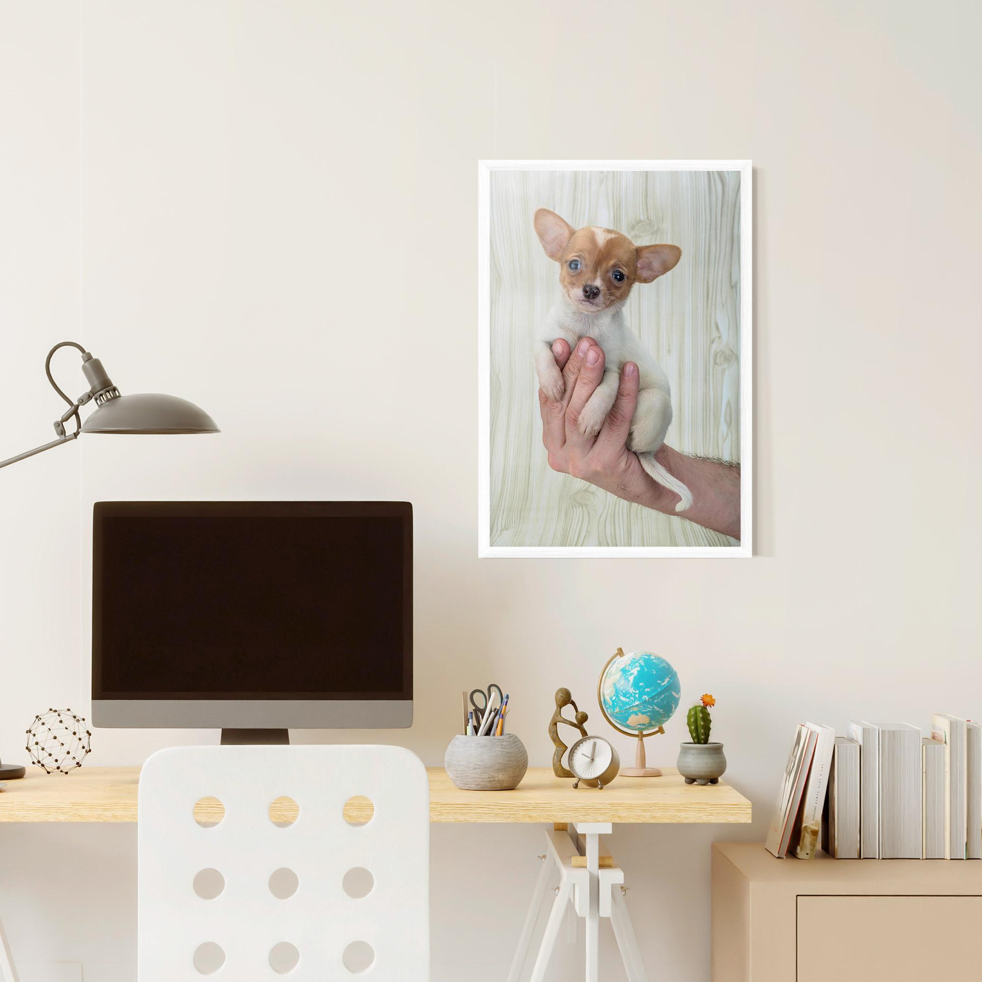 Gerahmte Poster Holding Chihuahua mockup 6