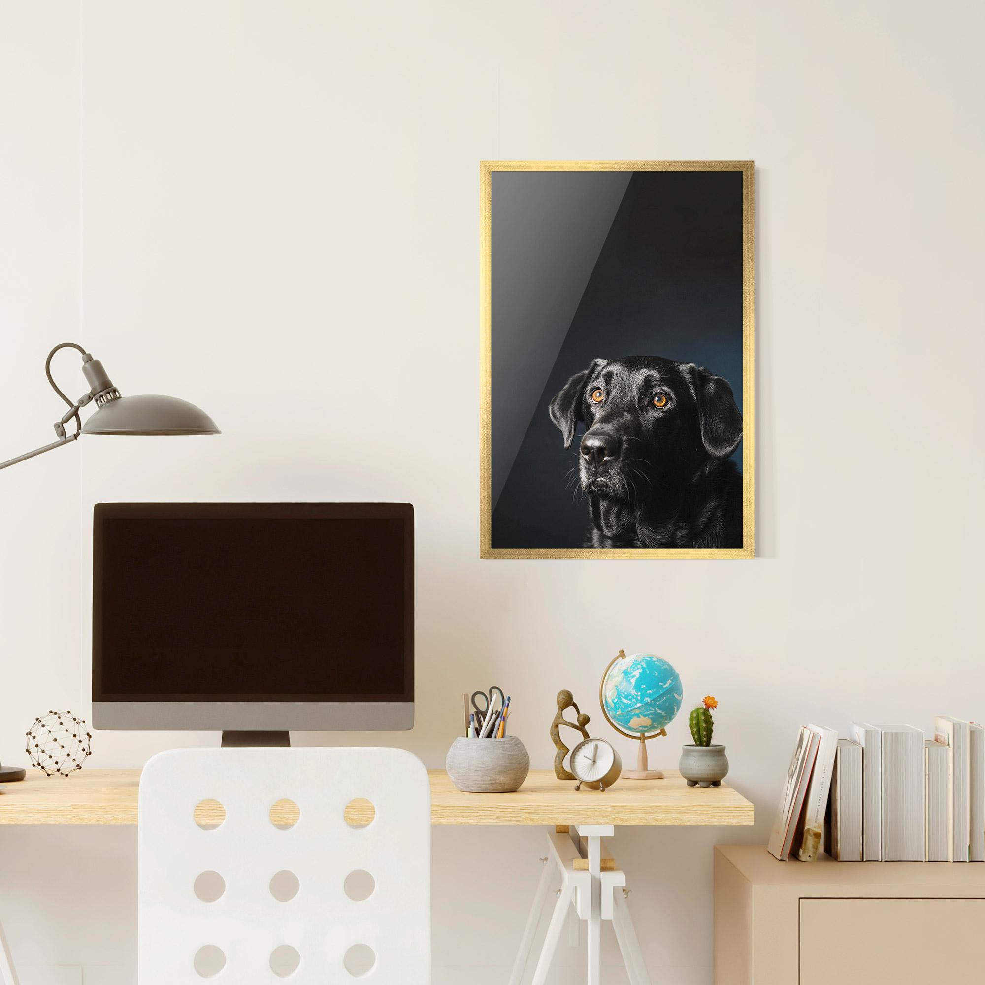 Gerahmte Poster Brown Eyes Dog mockup 6