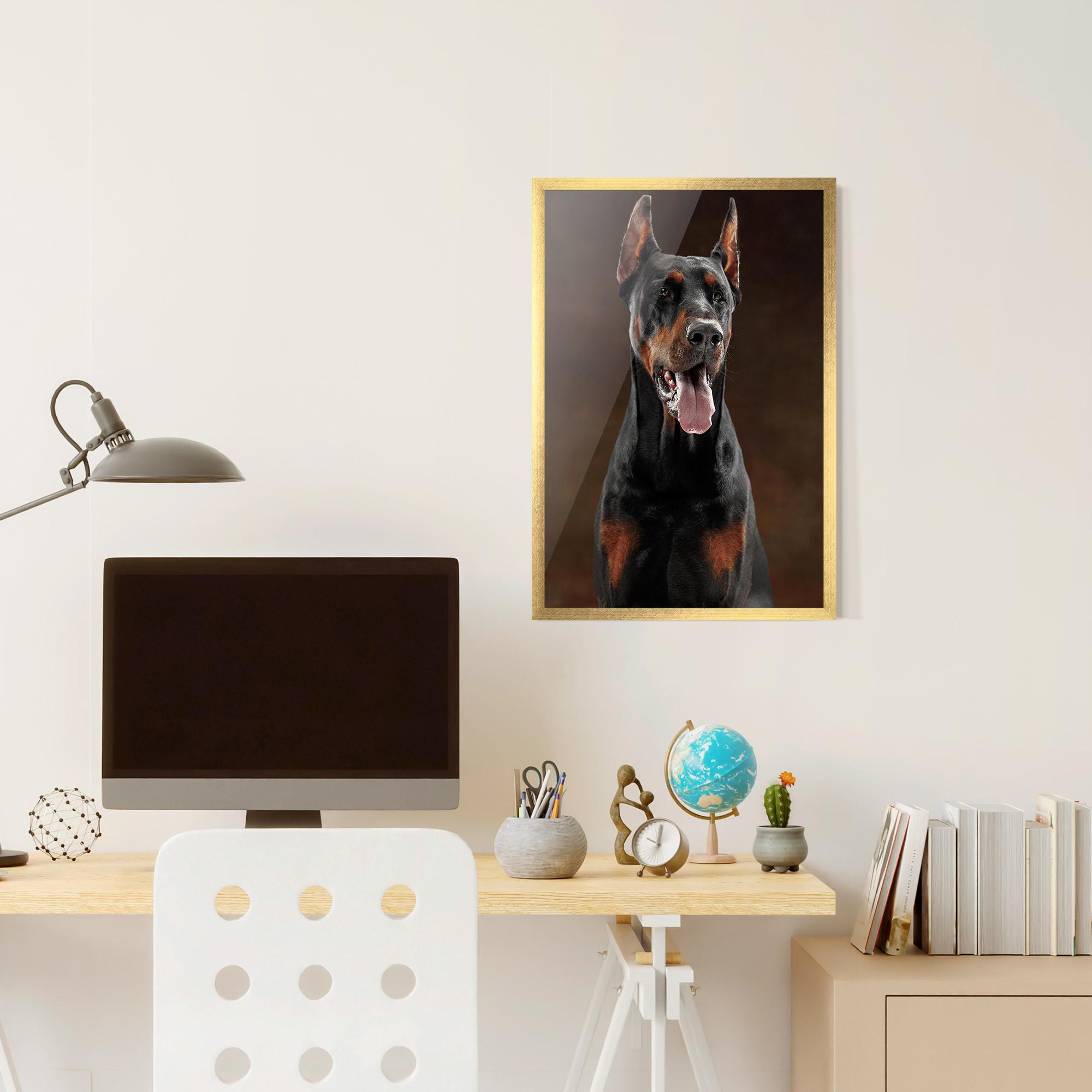 Gerahmte Poster Doberman Looking mockup 6