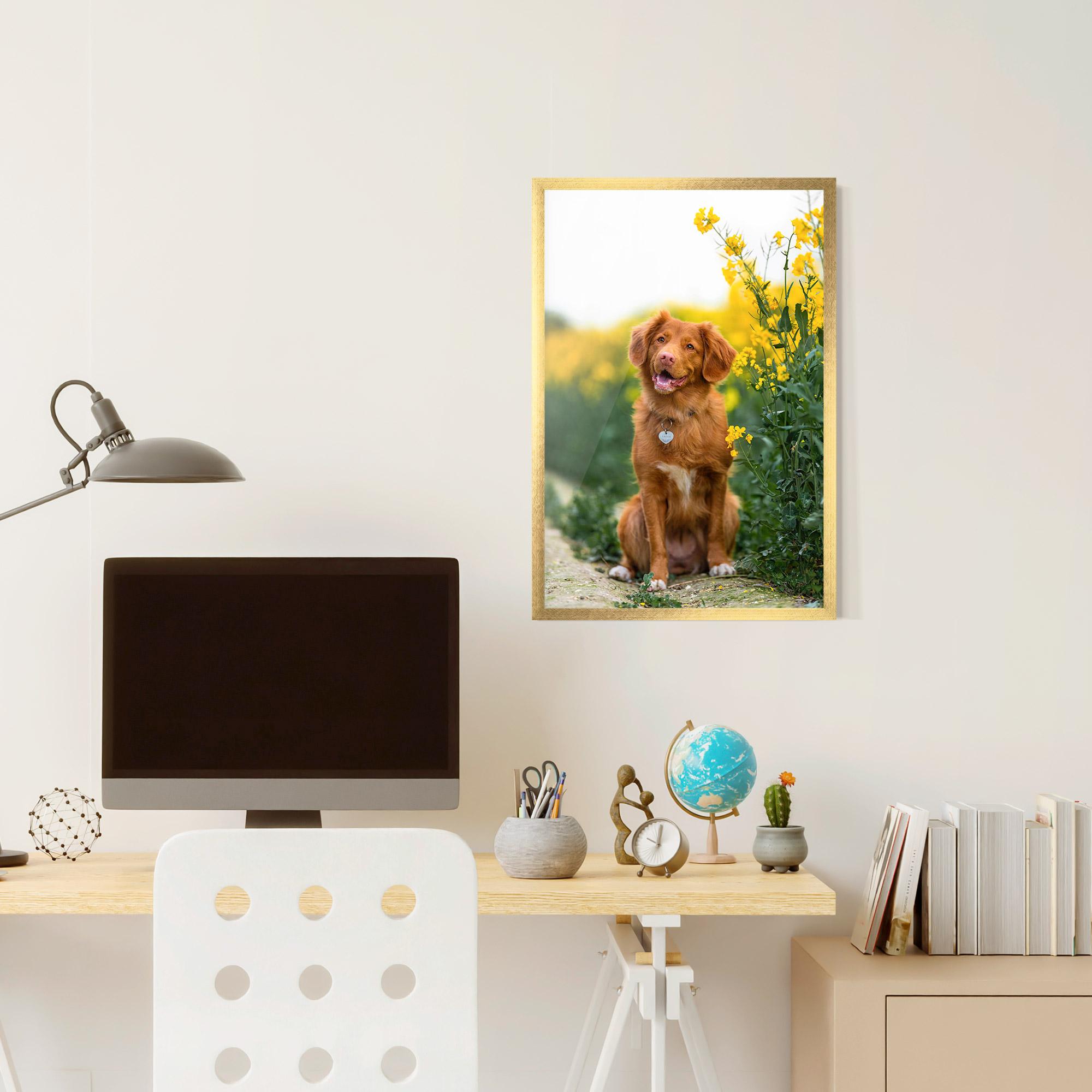 Gerahmte Poster Dog Yellow Flowers mockup 6